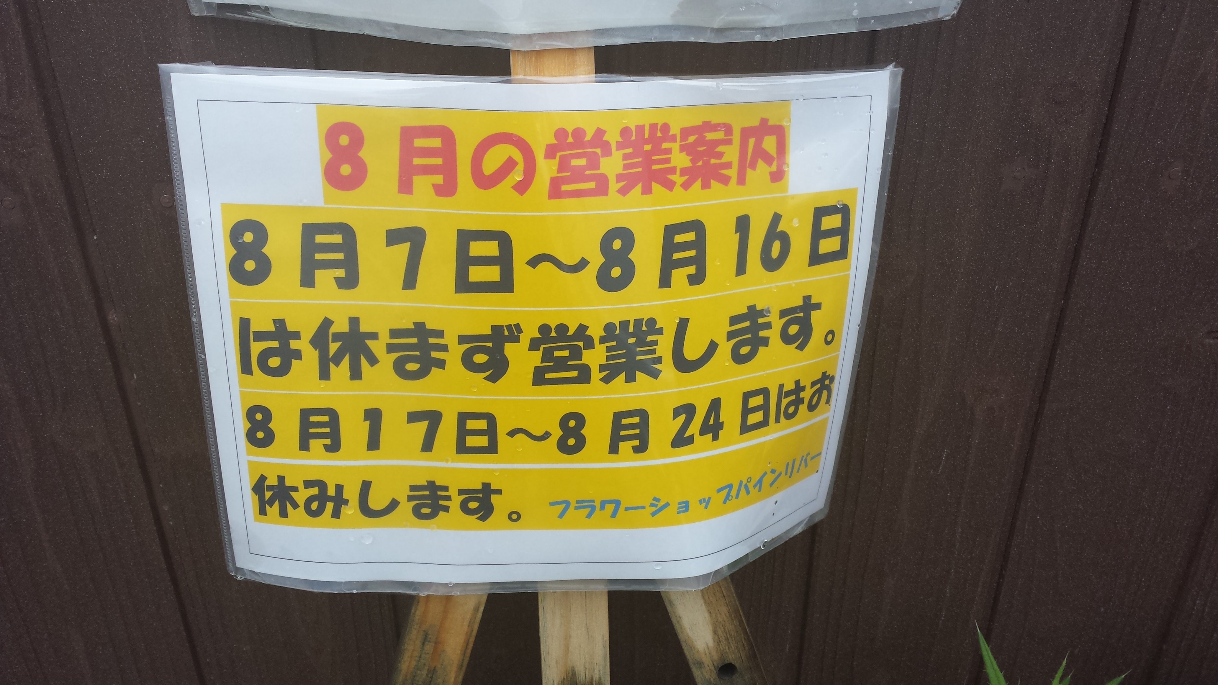 アップロードファイル 542-1.jpg