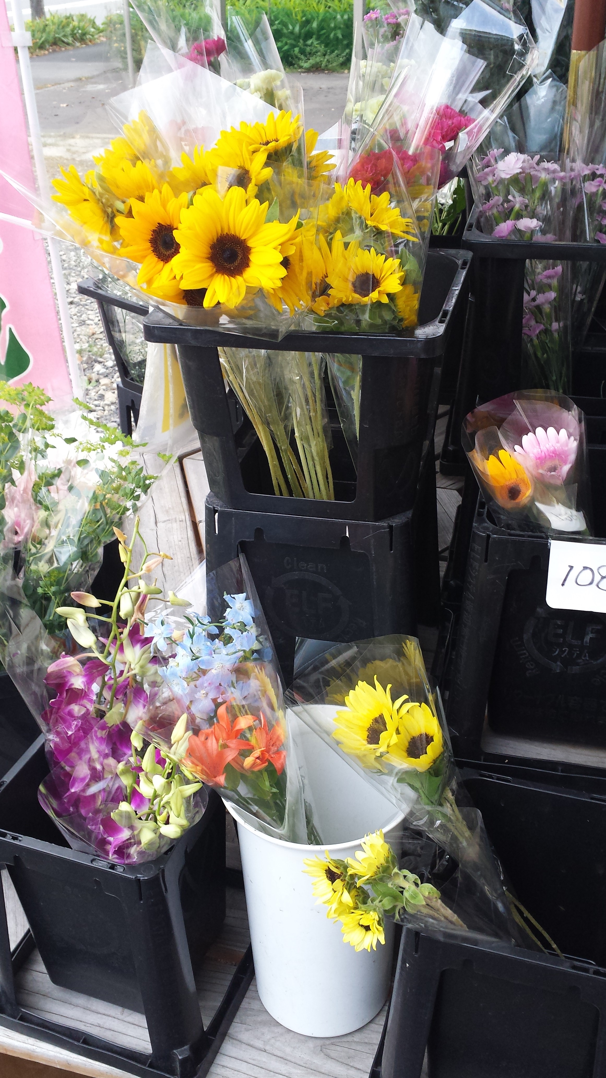 アップロードファイル 545-1.jpg