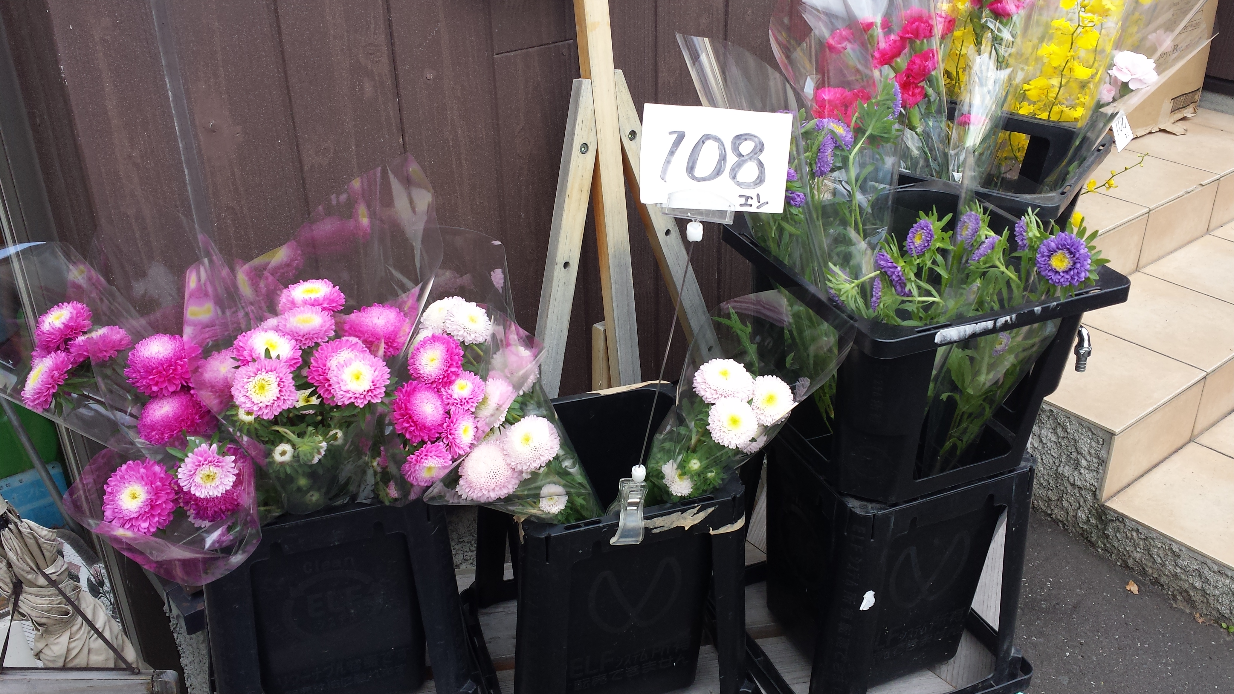 アップロードファイル 545-2.jpg