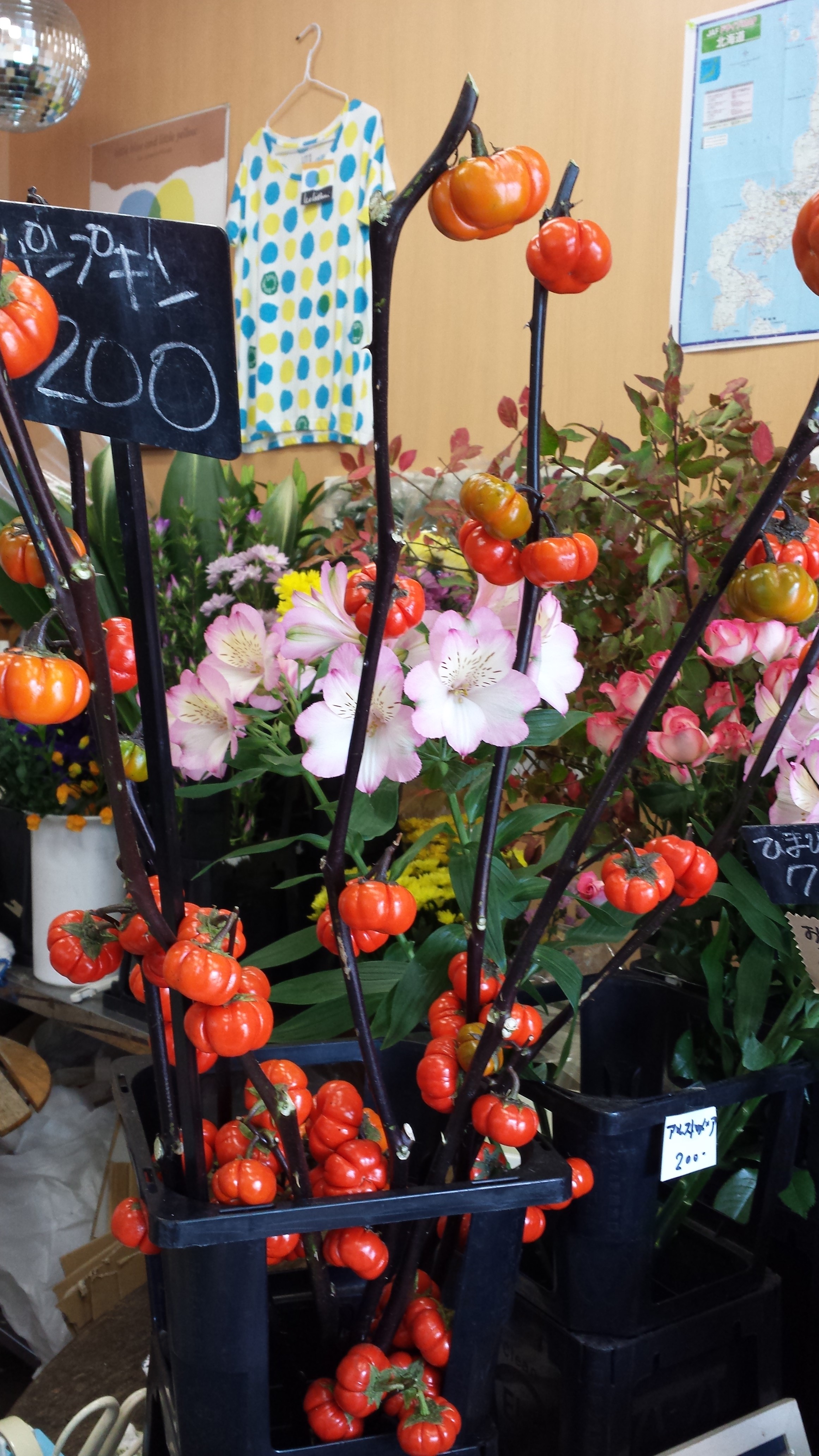 アップロードファイル 547-1.jpg