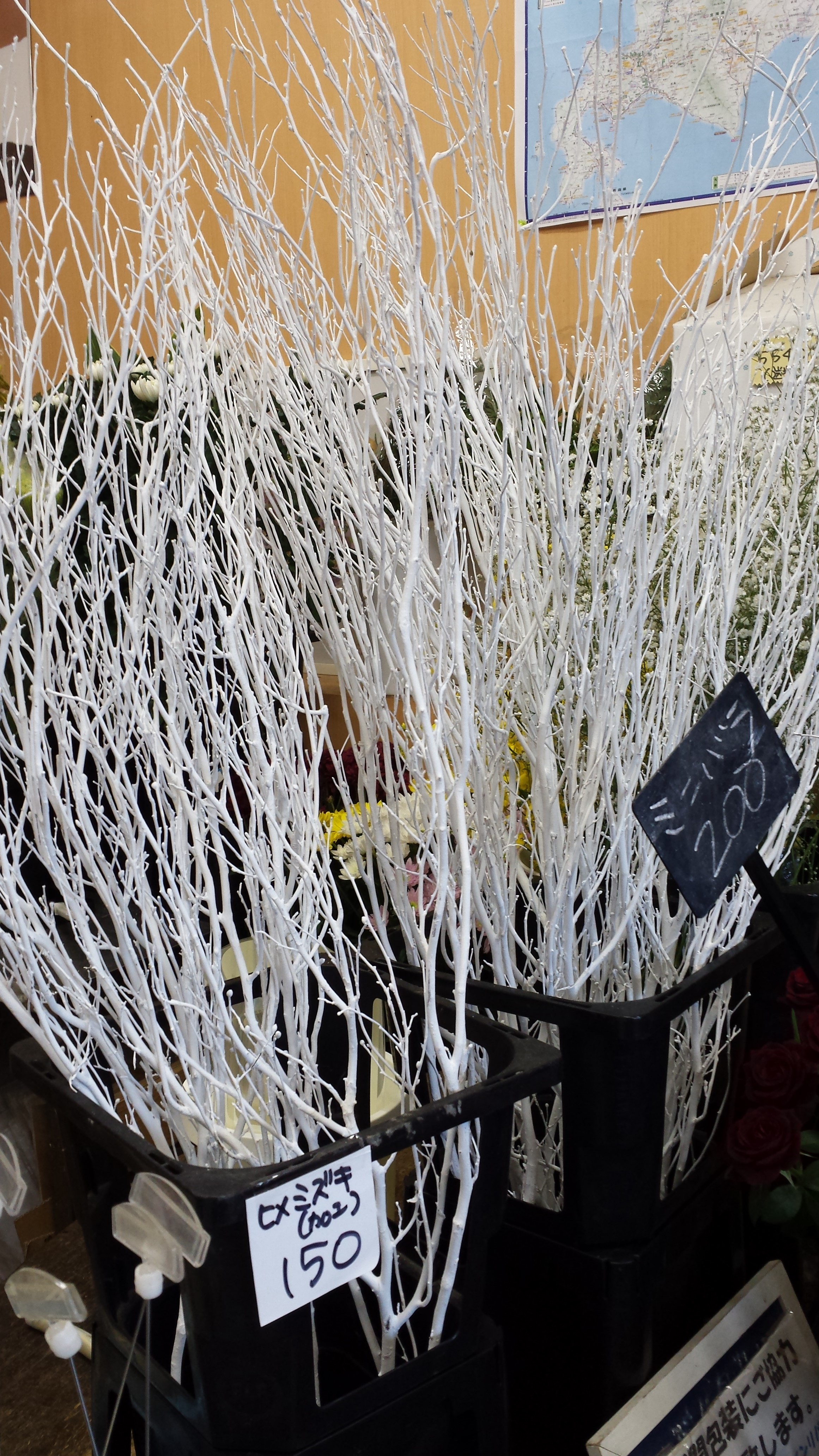 アップロードファイル 552-1.jpg