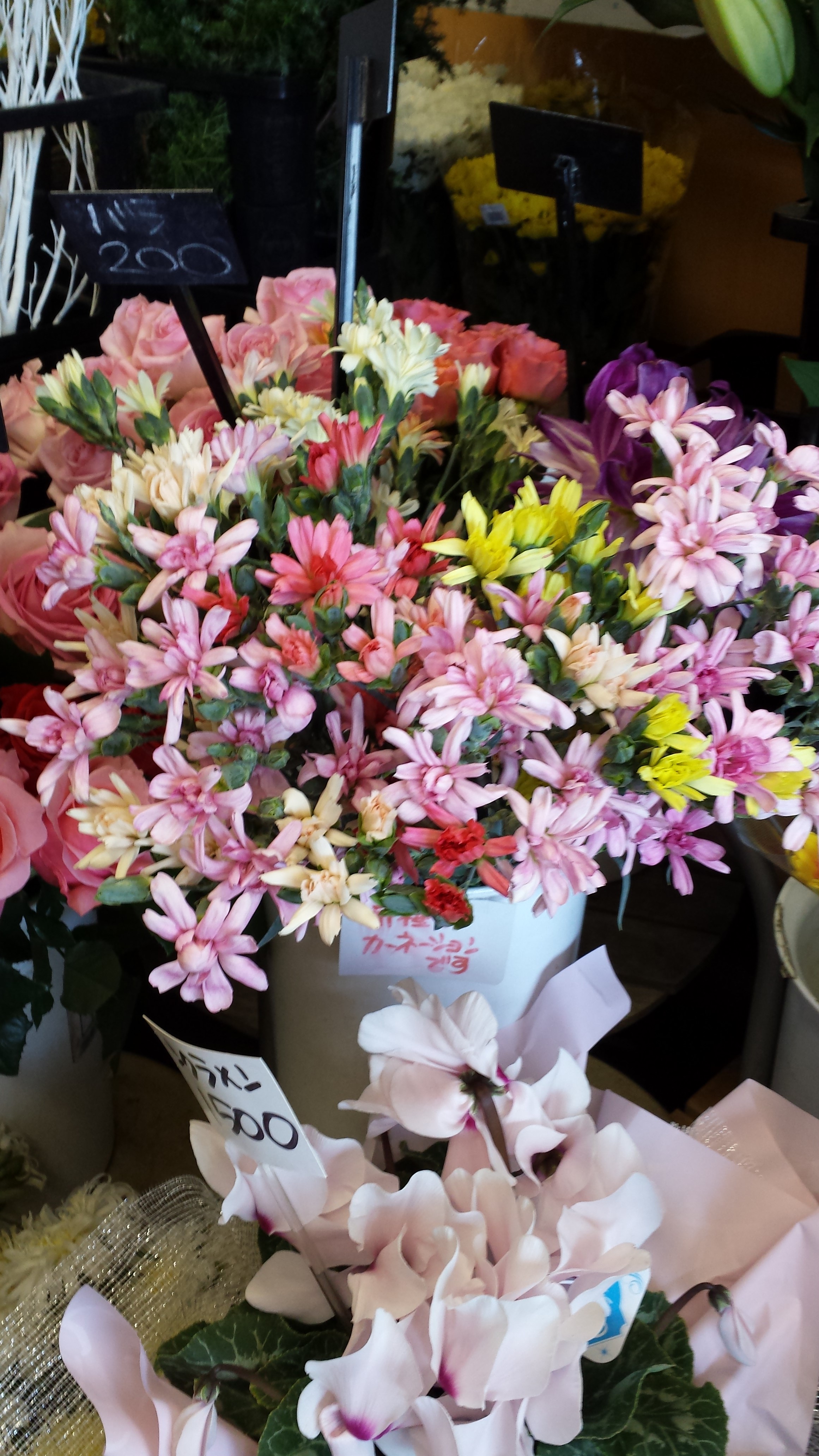 アップロードファイル 553-1.jpg