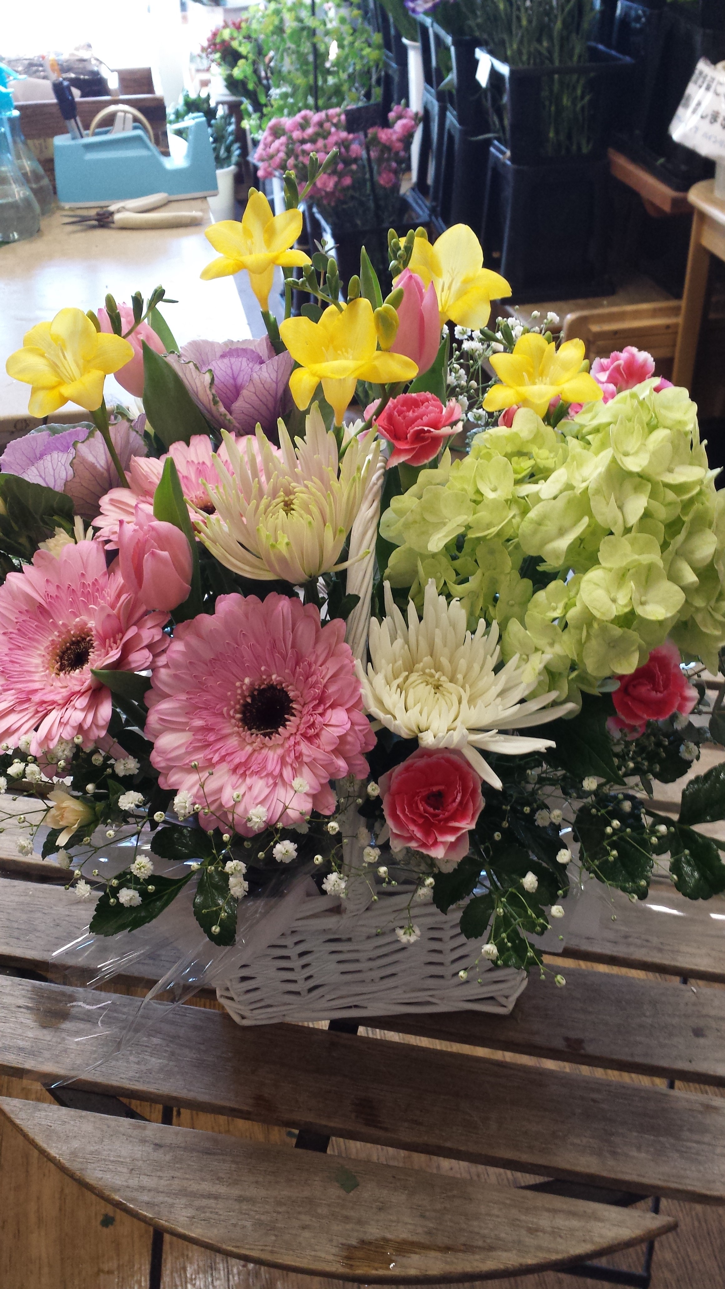 アップロードファイル 556-1.jpg