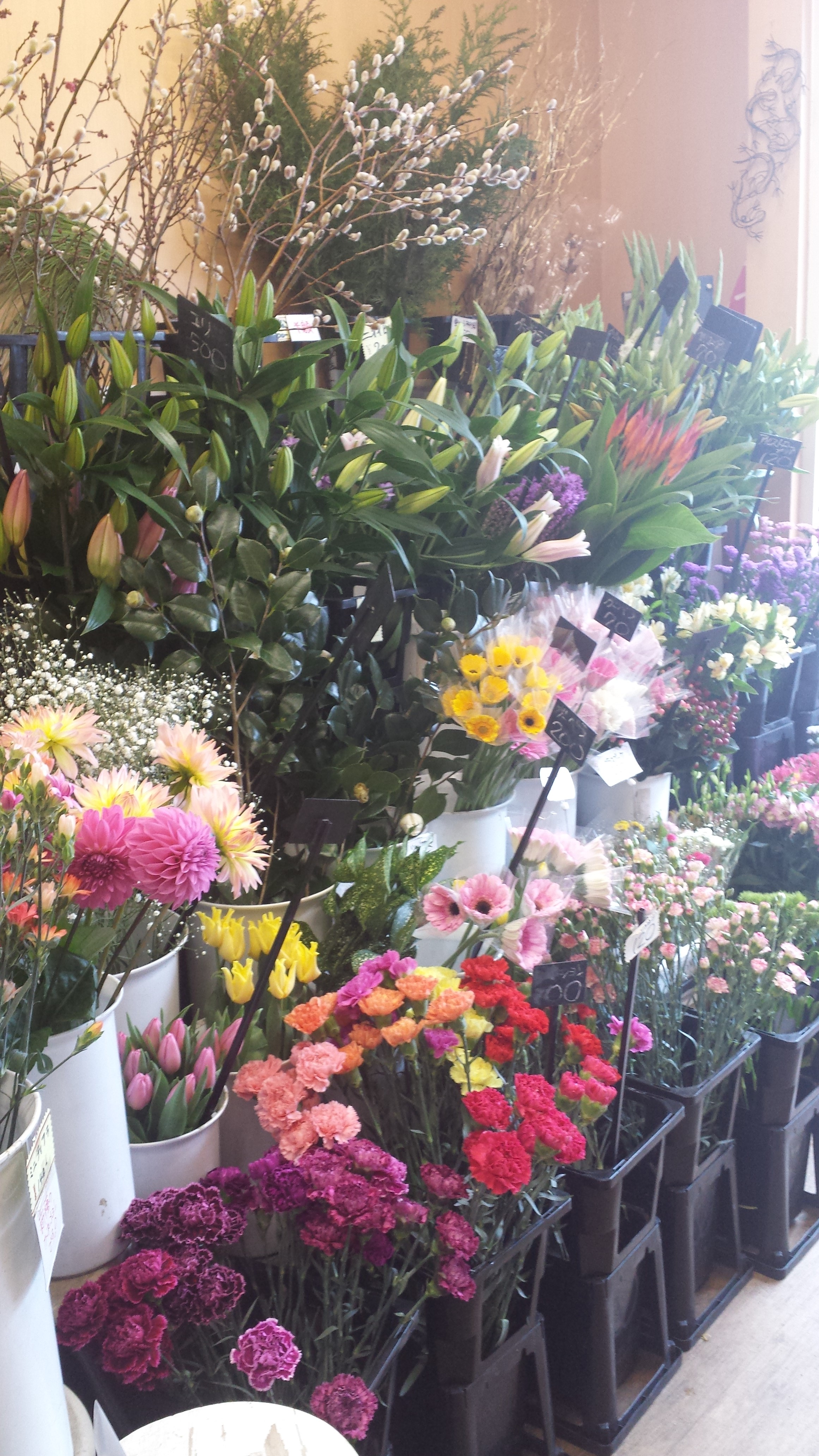 アップロードファイル 558-1.jpg