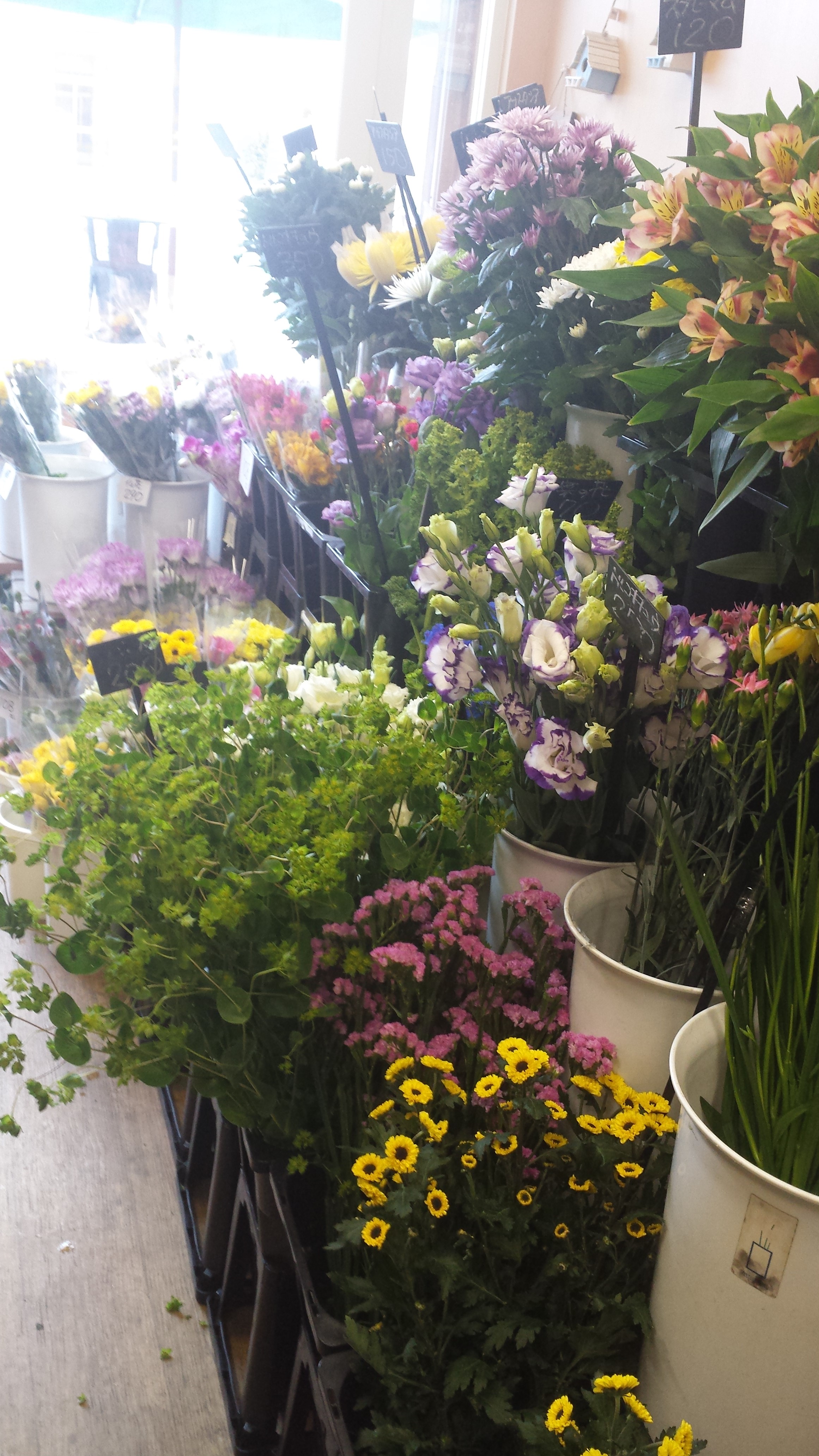 アップロードファイル 558-2.jpg