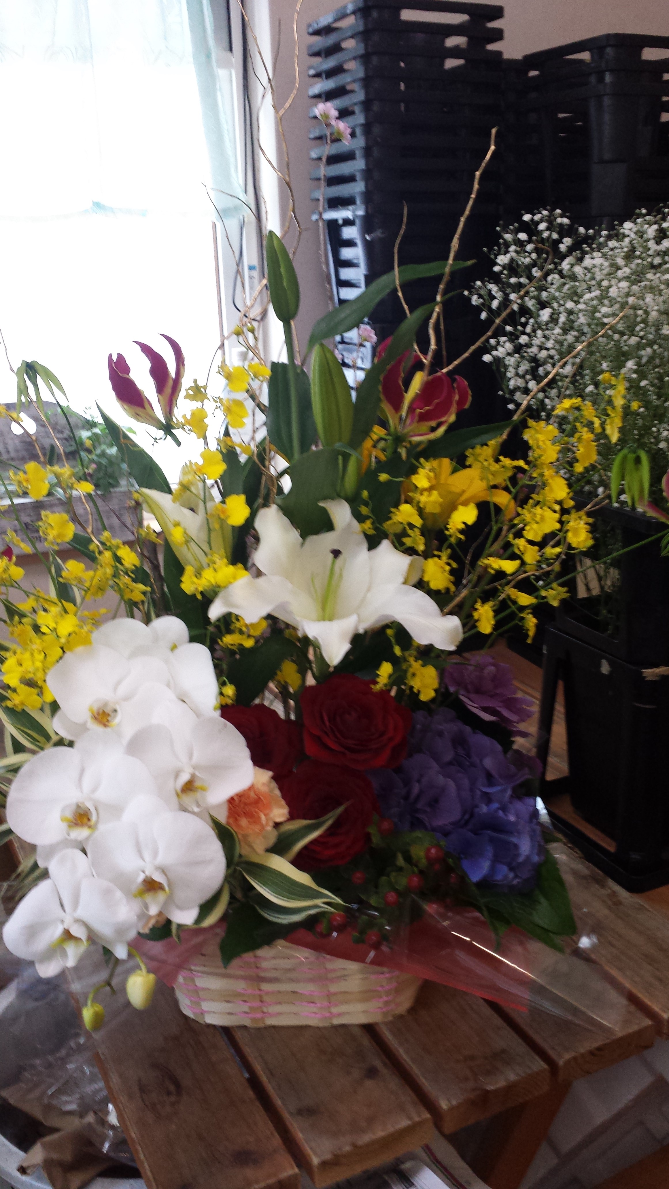 アップロードファイル 562-1.jpg