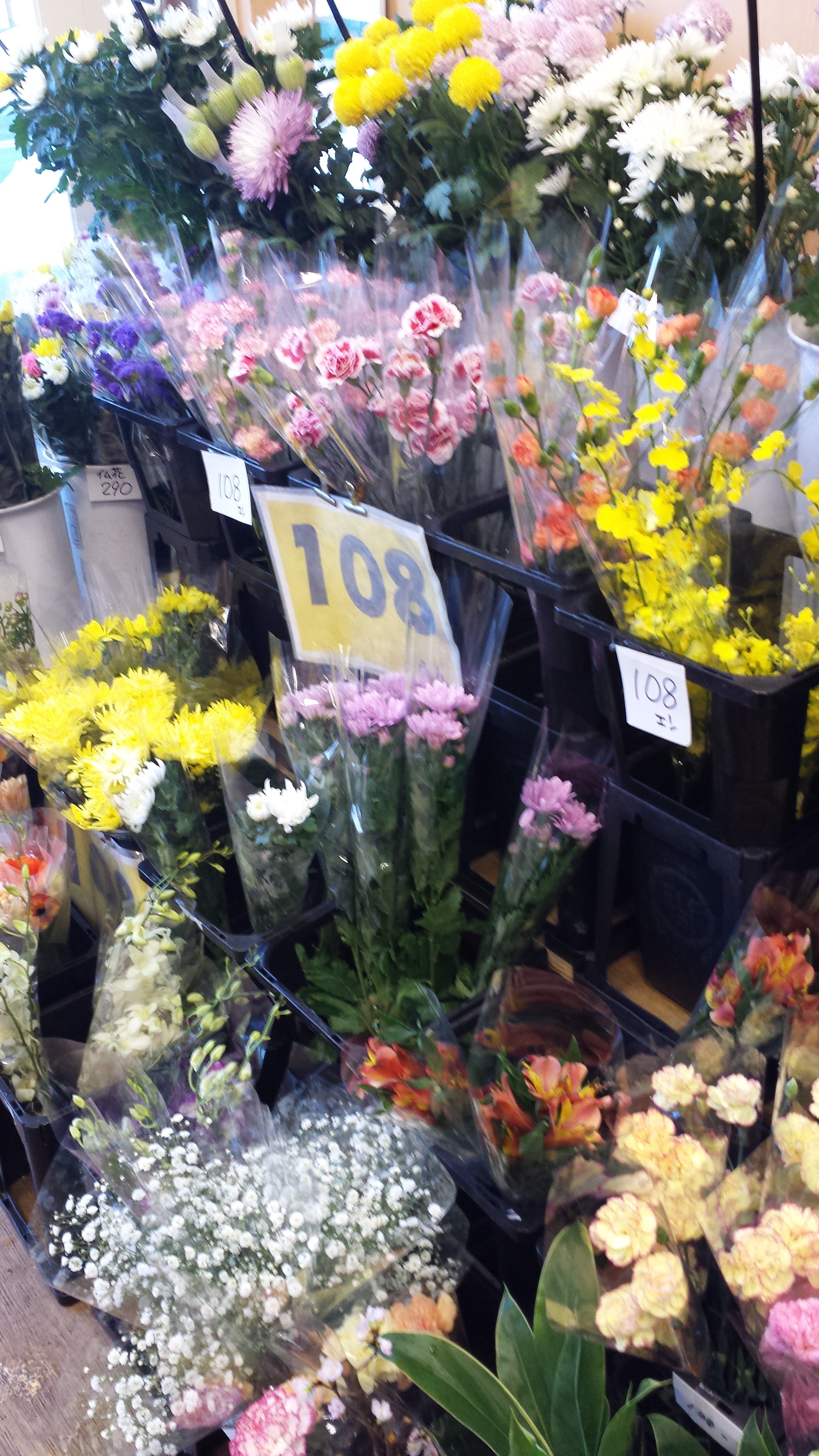 アップロードファイル 564-1.jpg