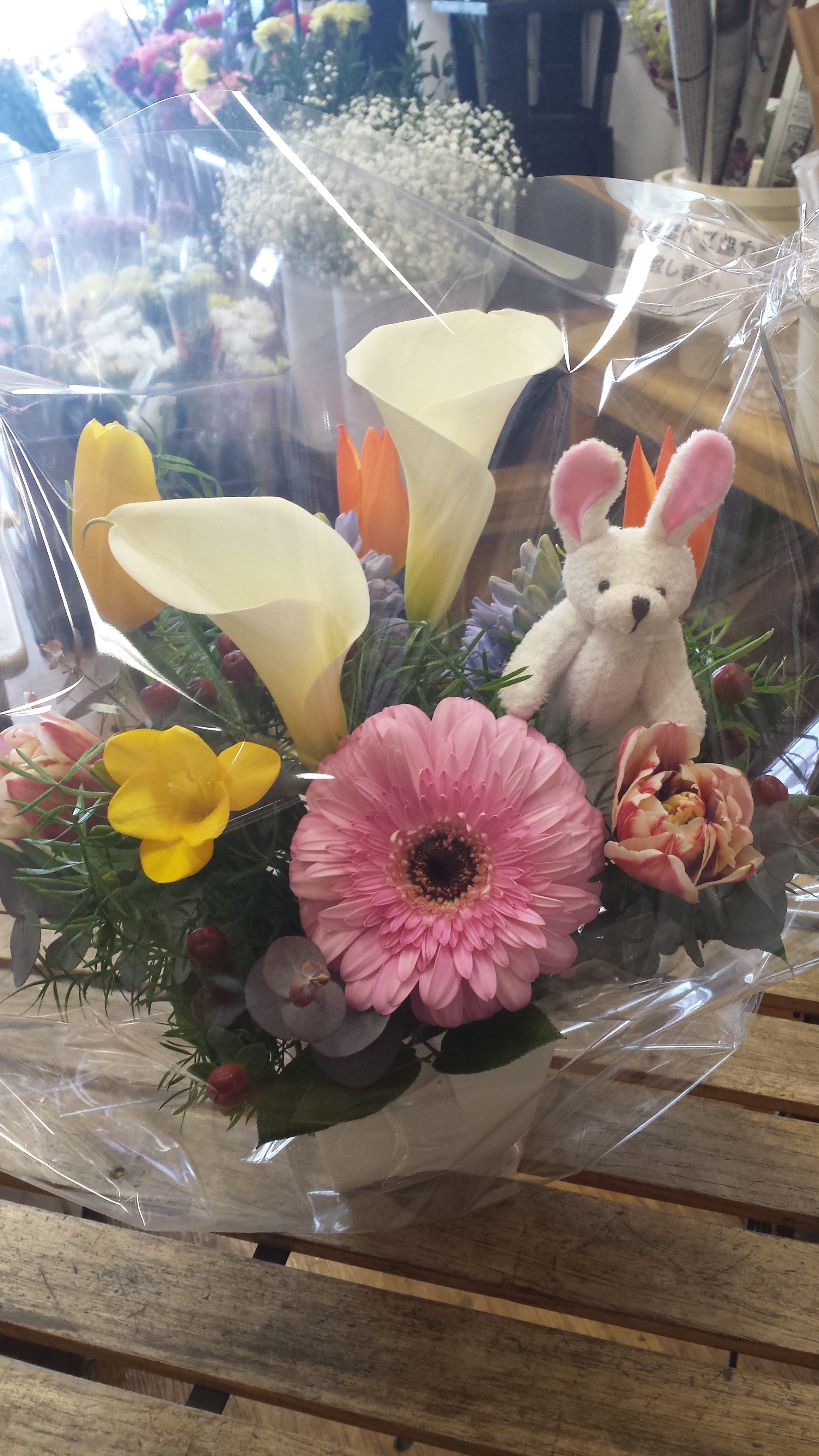 アップロードファイル 566-1.jpg