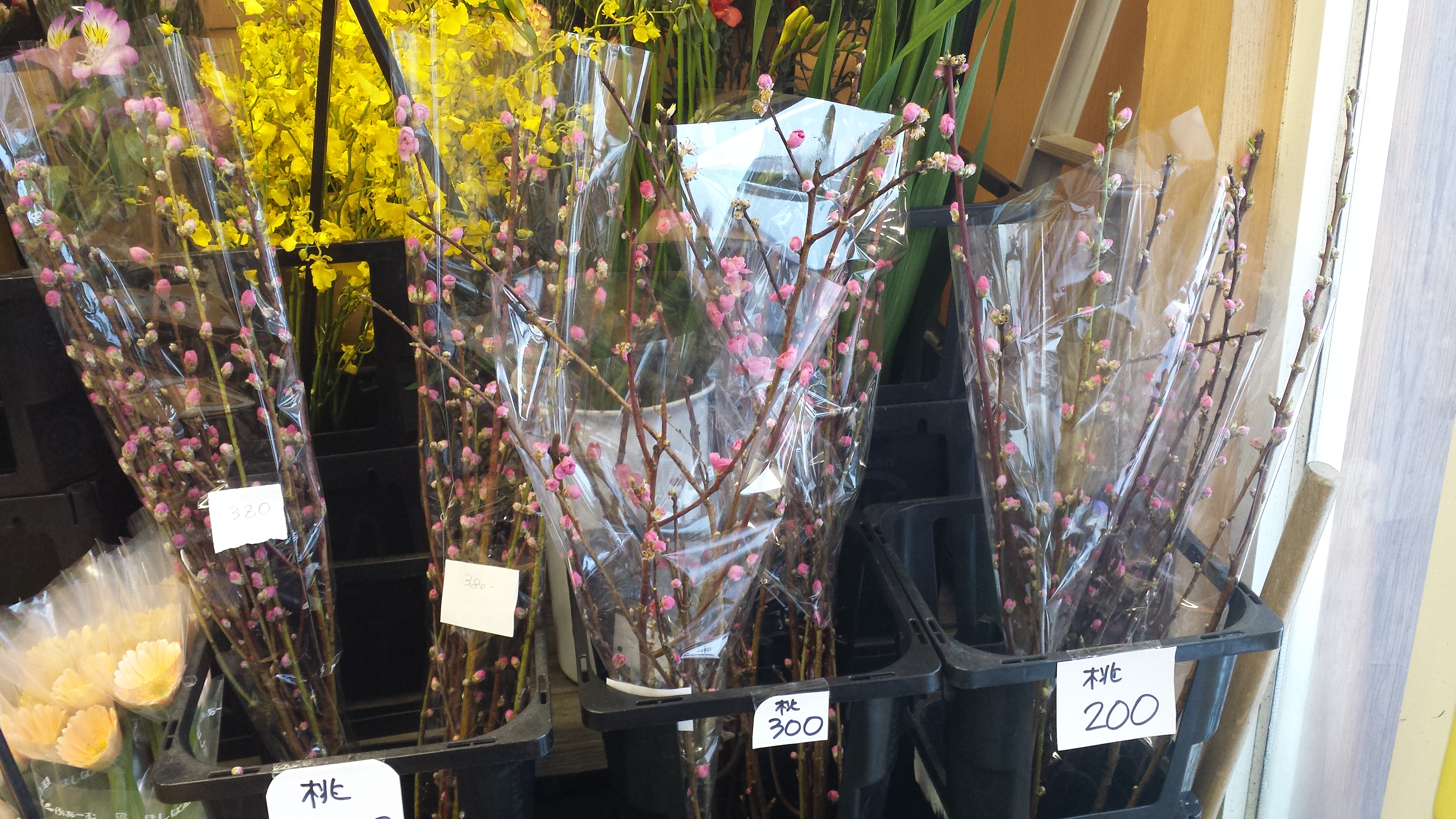 アップロードファイル 568-1.jpg