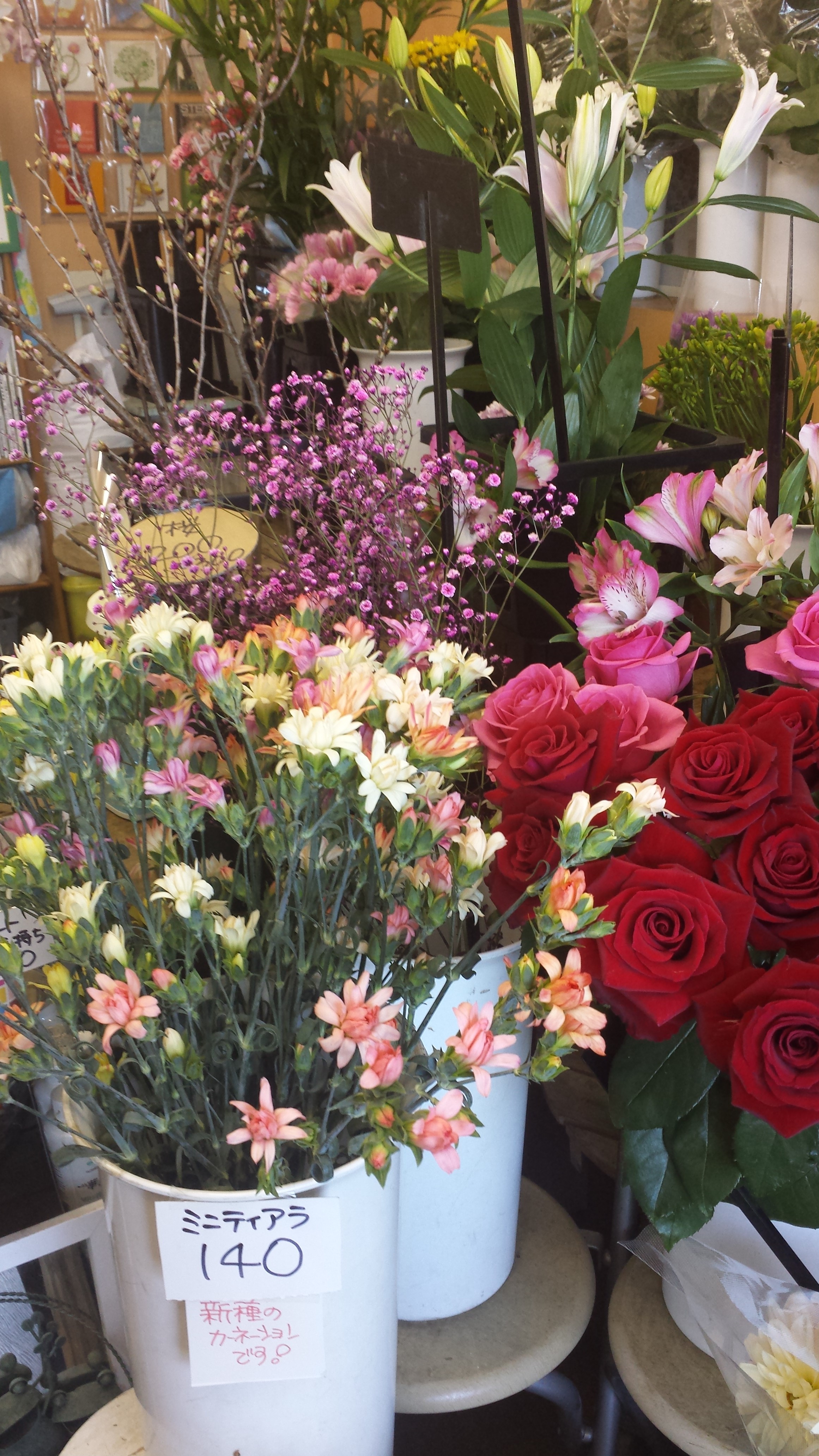 アップロードファイル 569-1.jpg