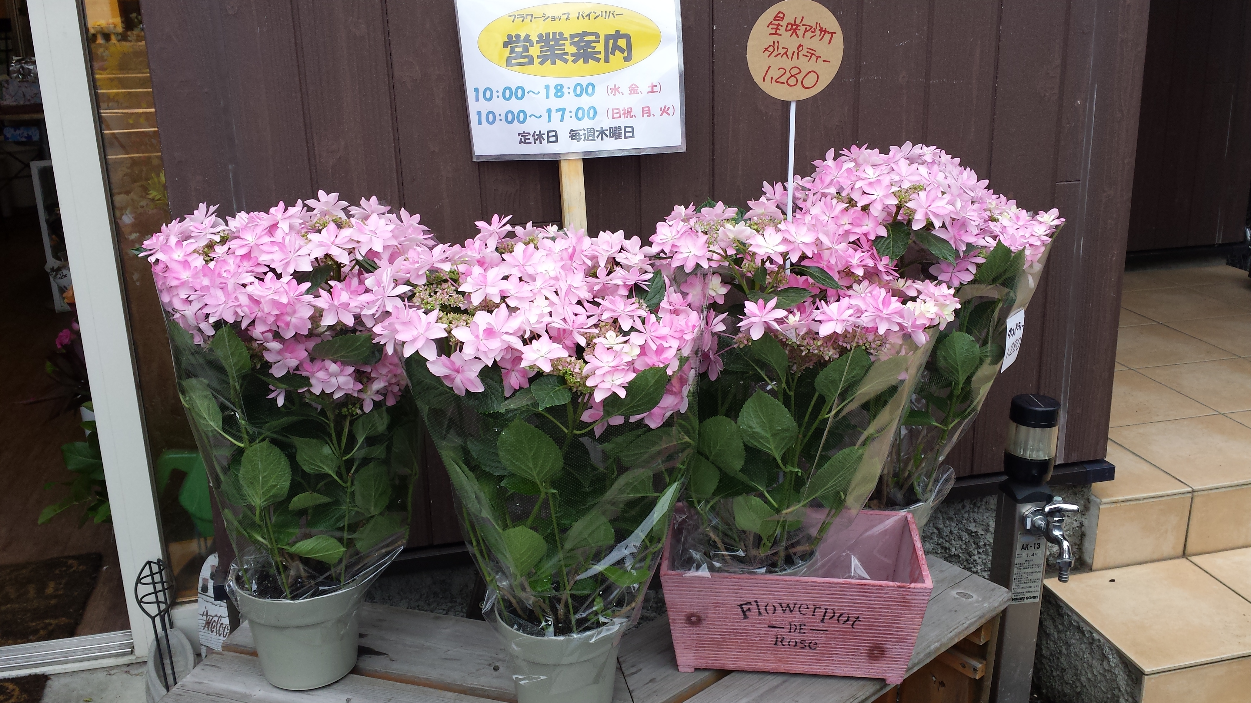 アップロードファイル 579-1.jpg