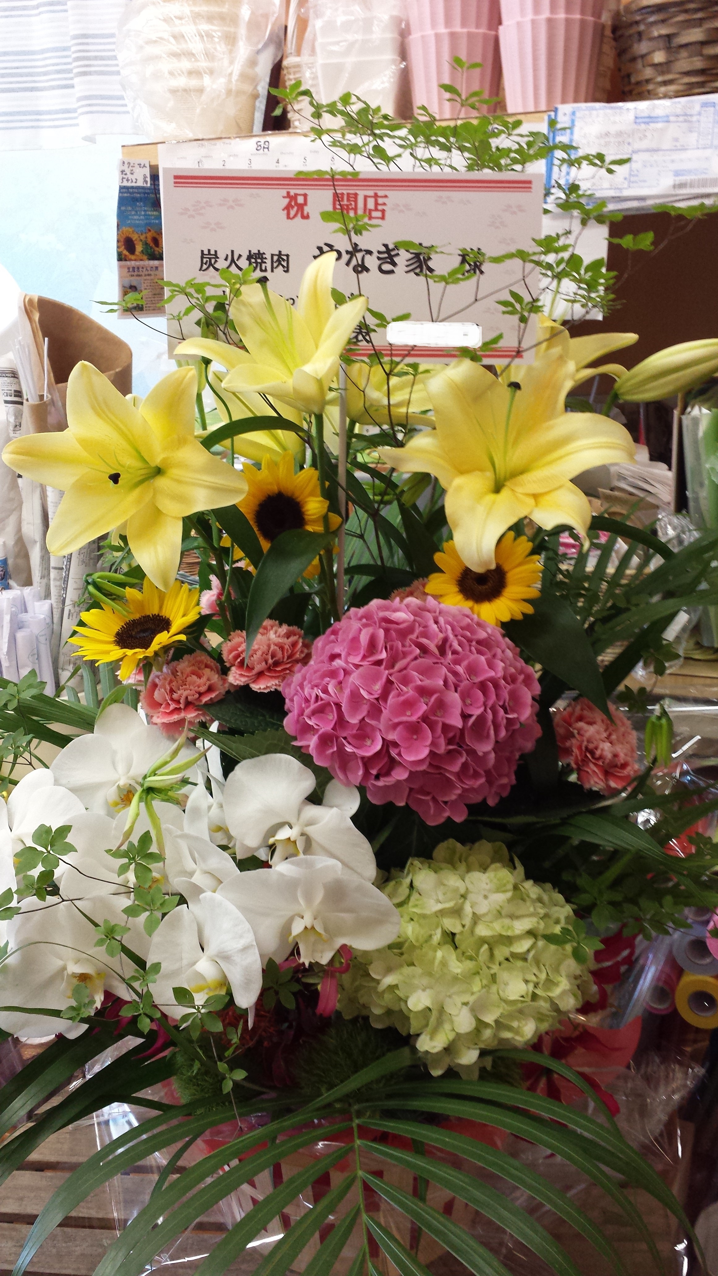 アップロードファイル 586-1.jpg