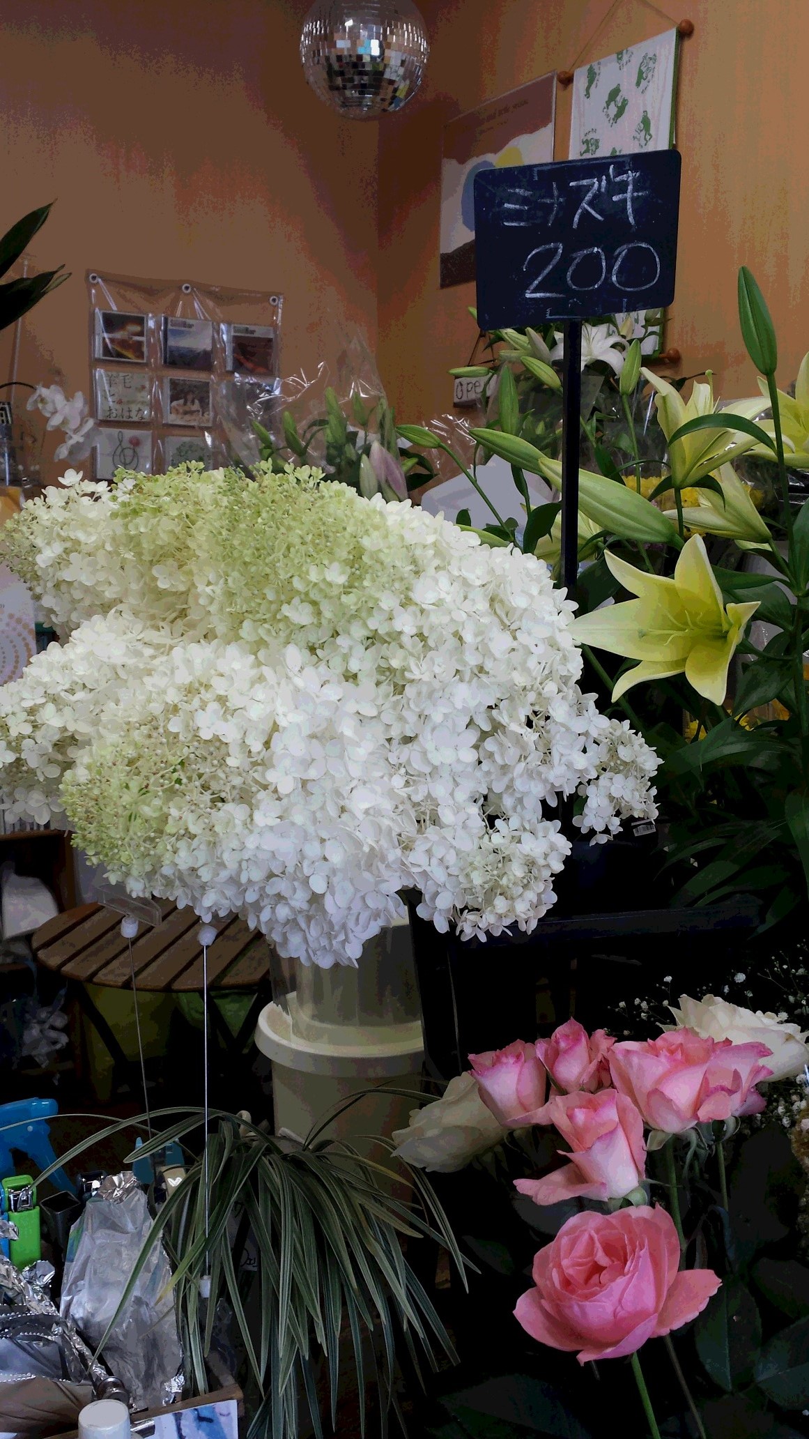 アップロードファイル 591-1.jpg