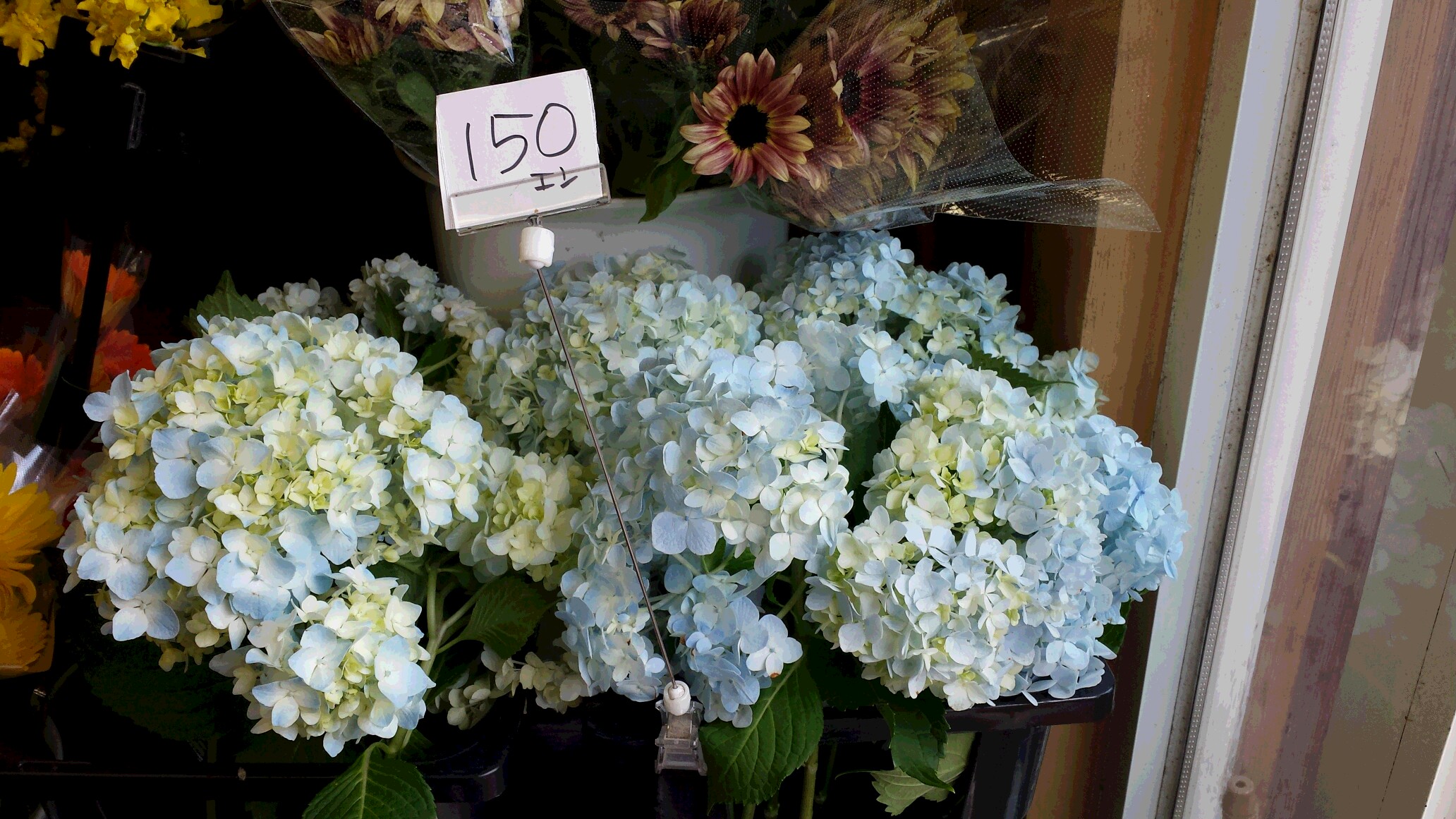 アップロードファイル 591-2.jpg