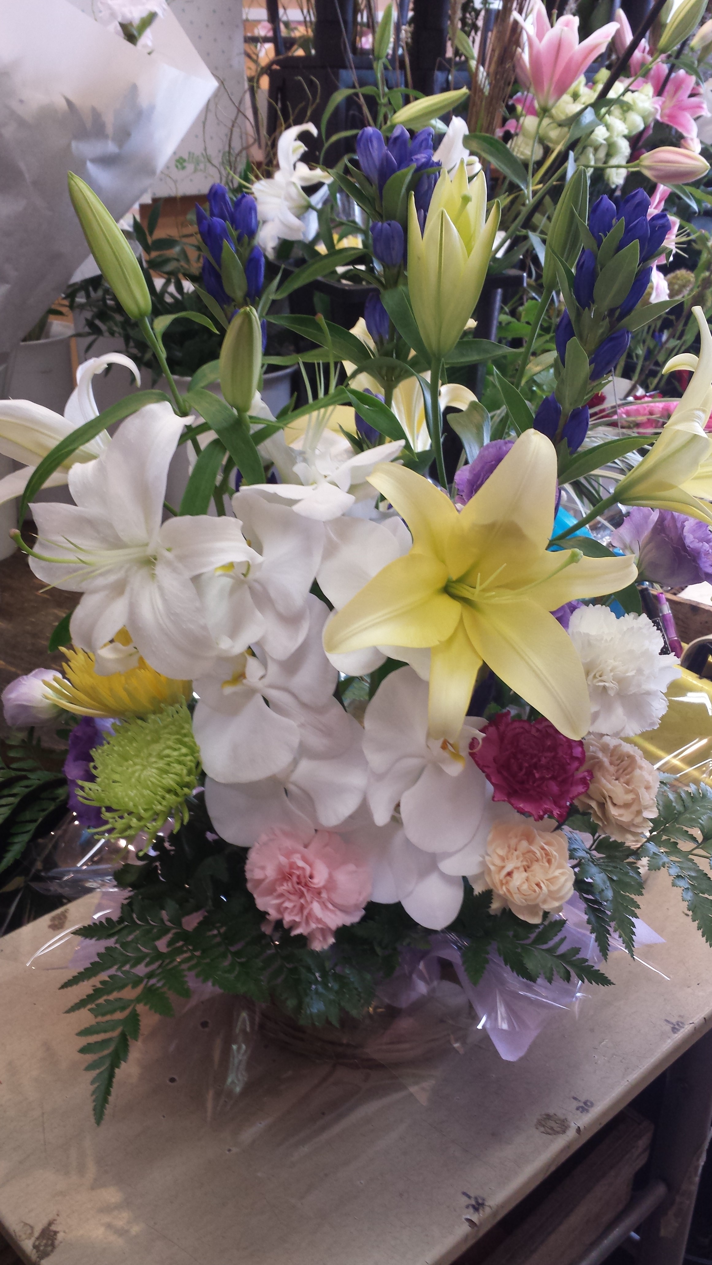 アップロードファイル 592-1.jpg