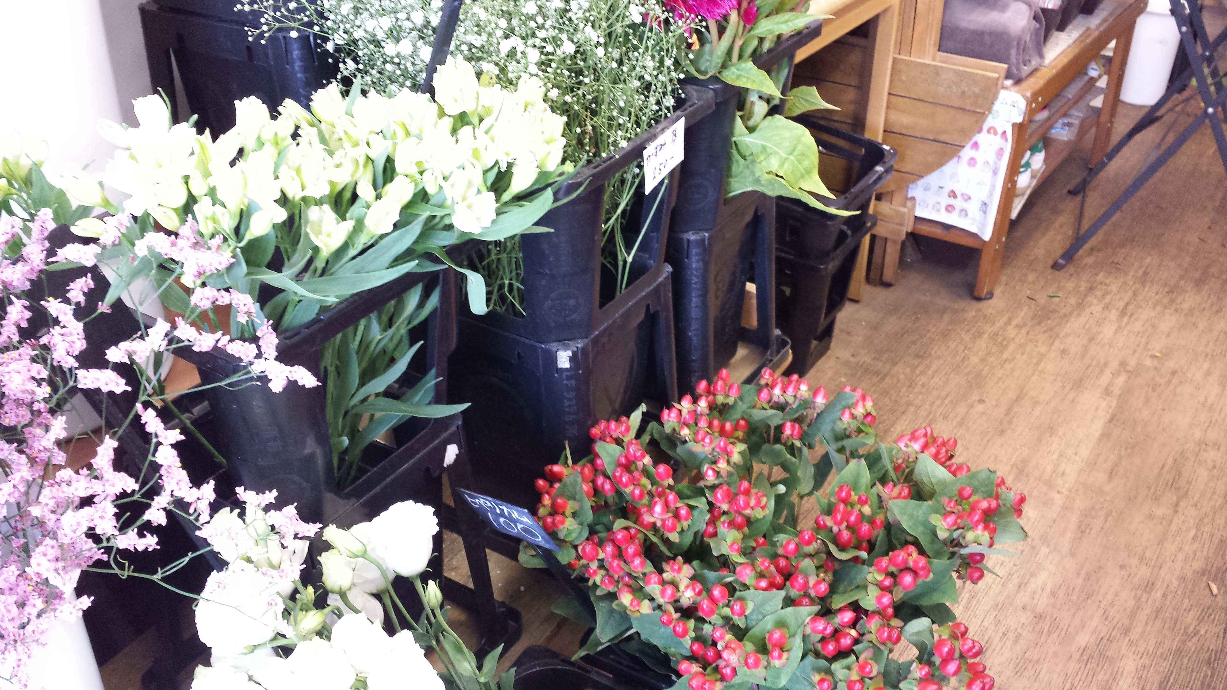 アップロードファイル 593-1.jpg