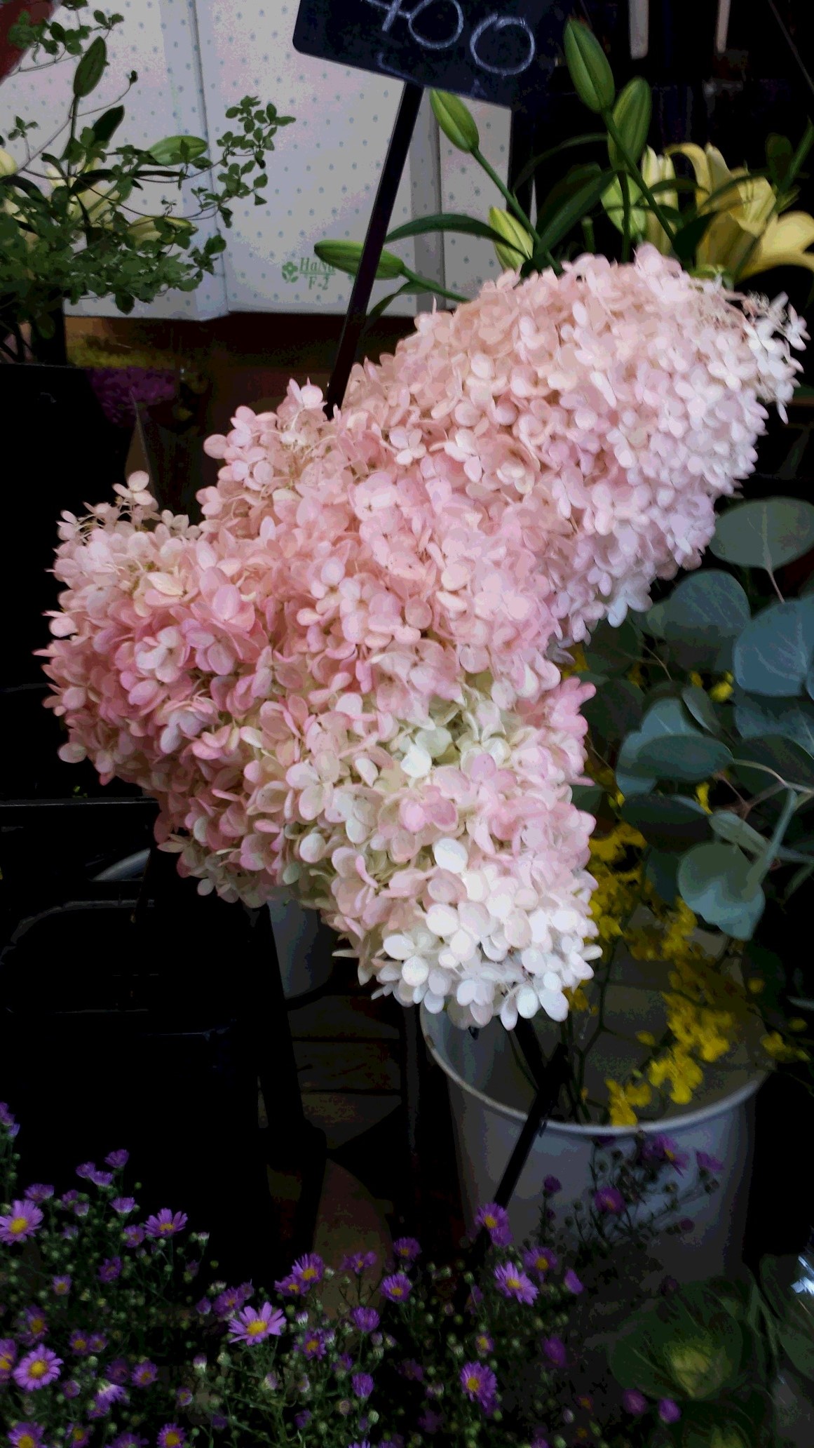 アップロードファイル 595-1.jpg