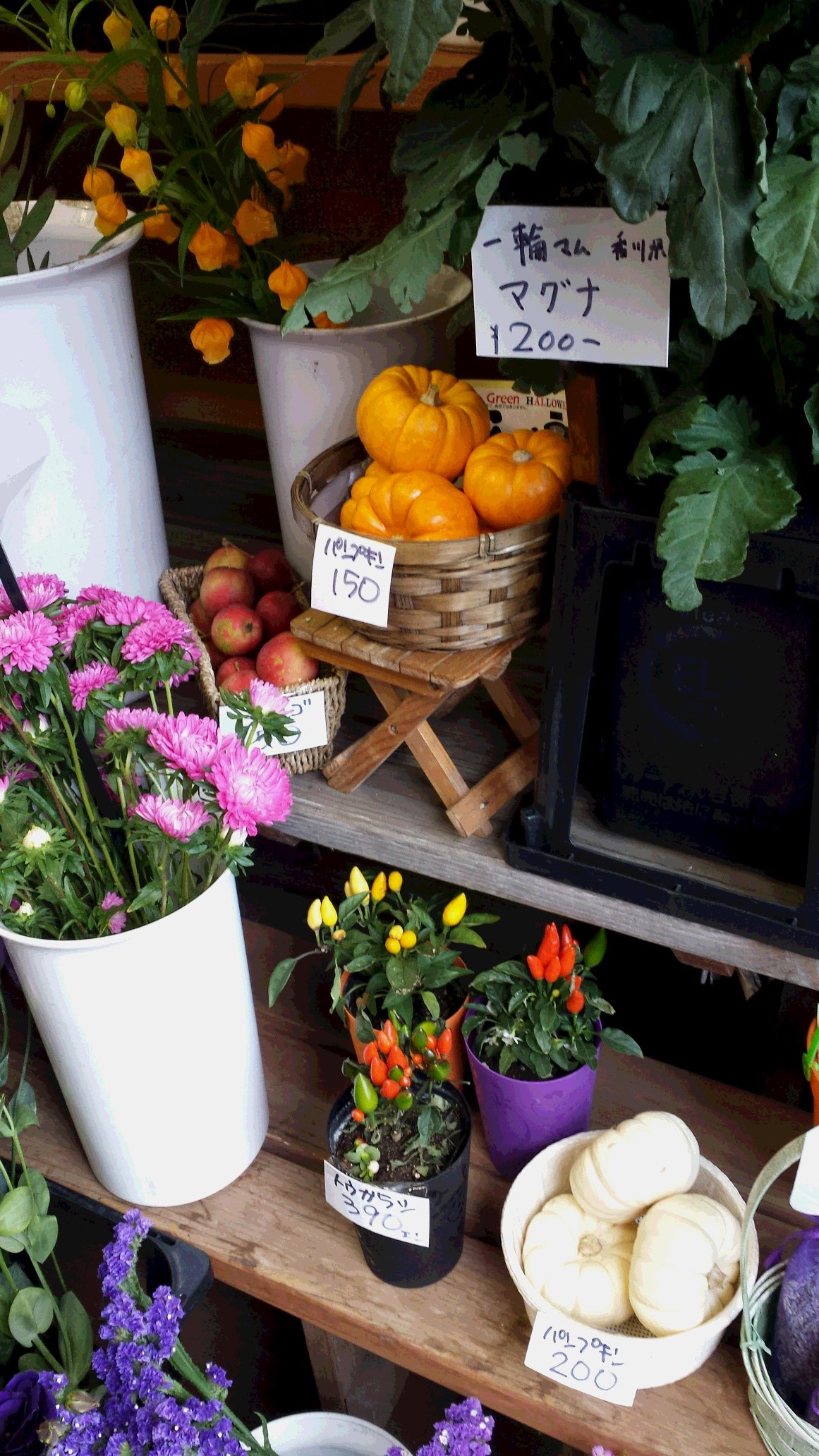 アップロードファイル 595-2.jpg