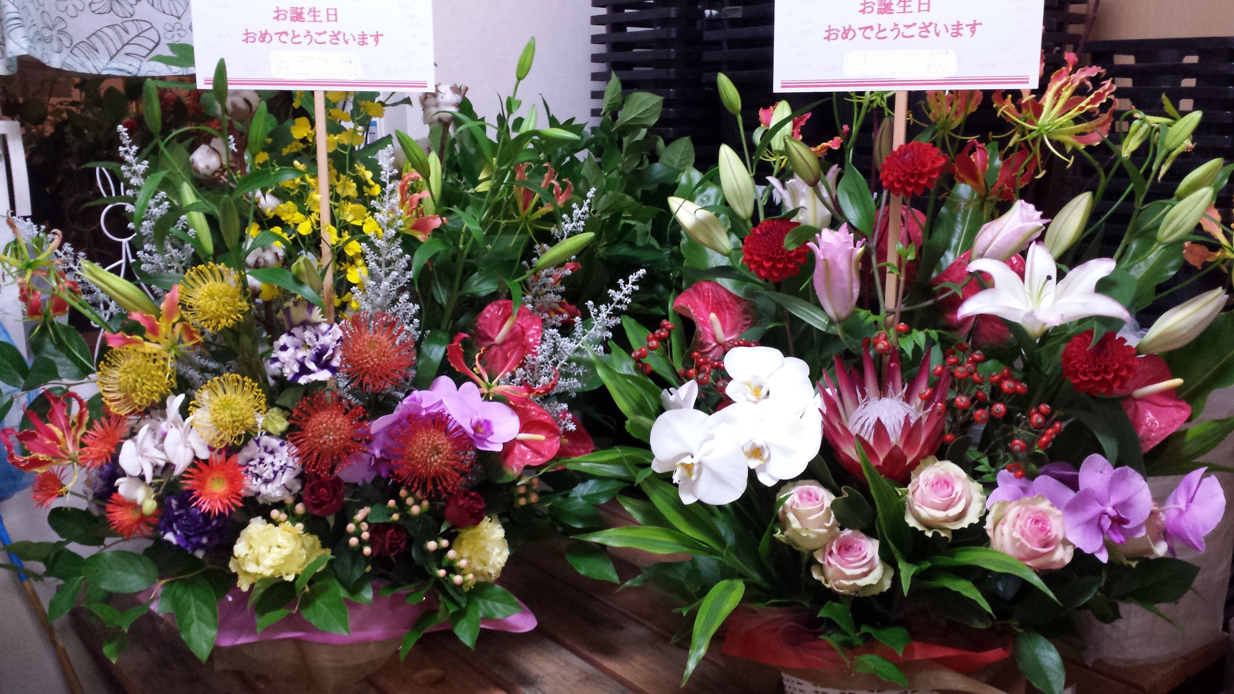 アップロードファイル 598-1.jpg