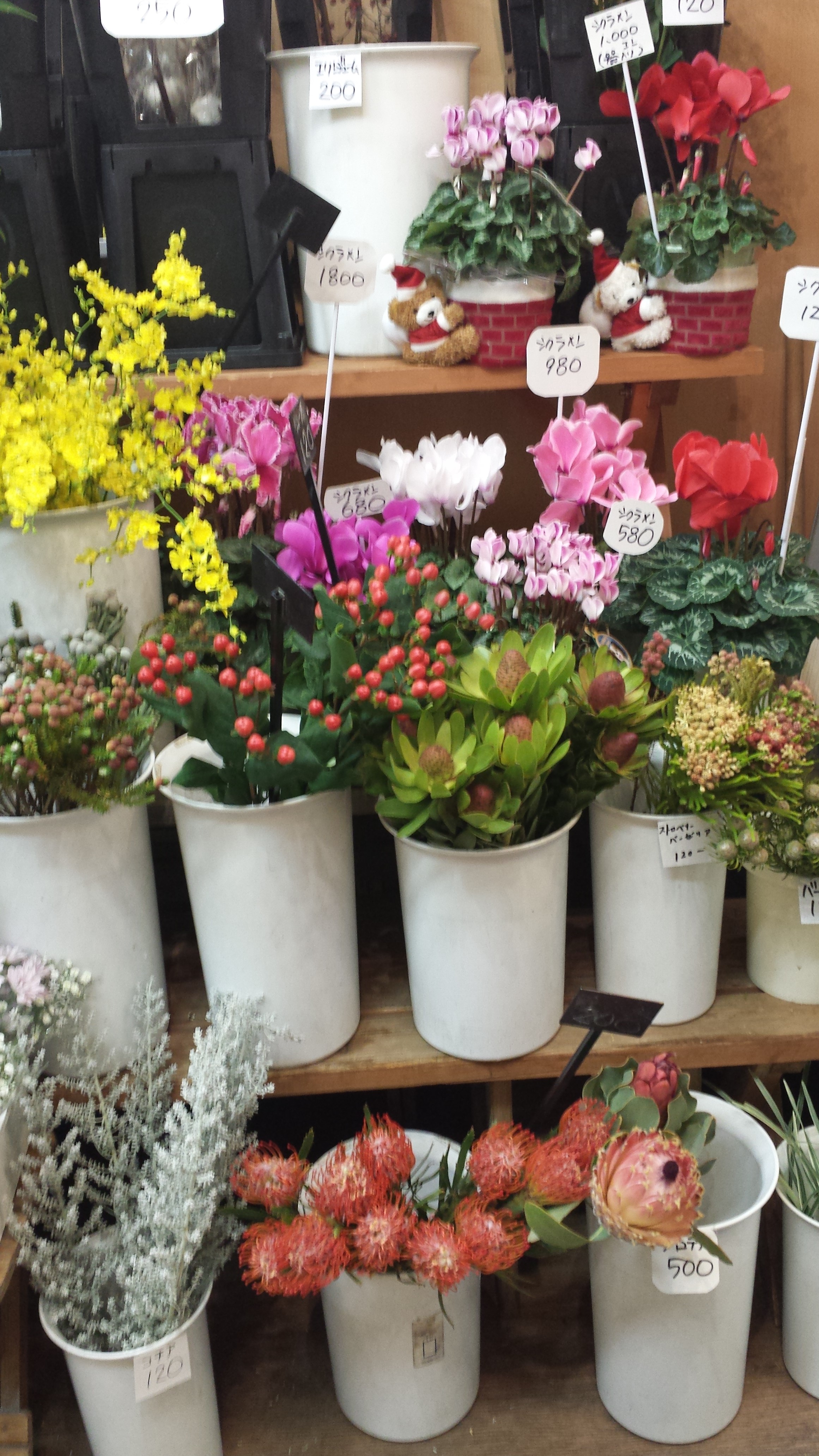 アップロードファイル 603-2.jpg