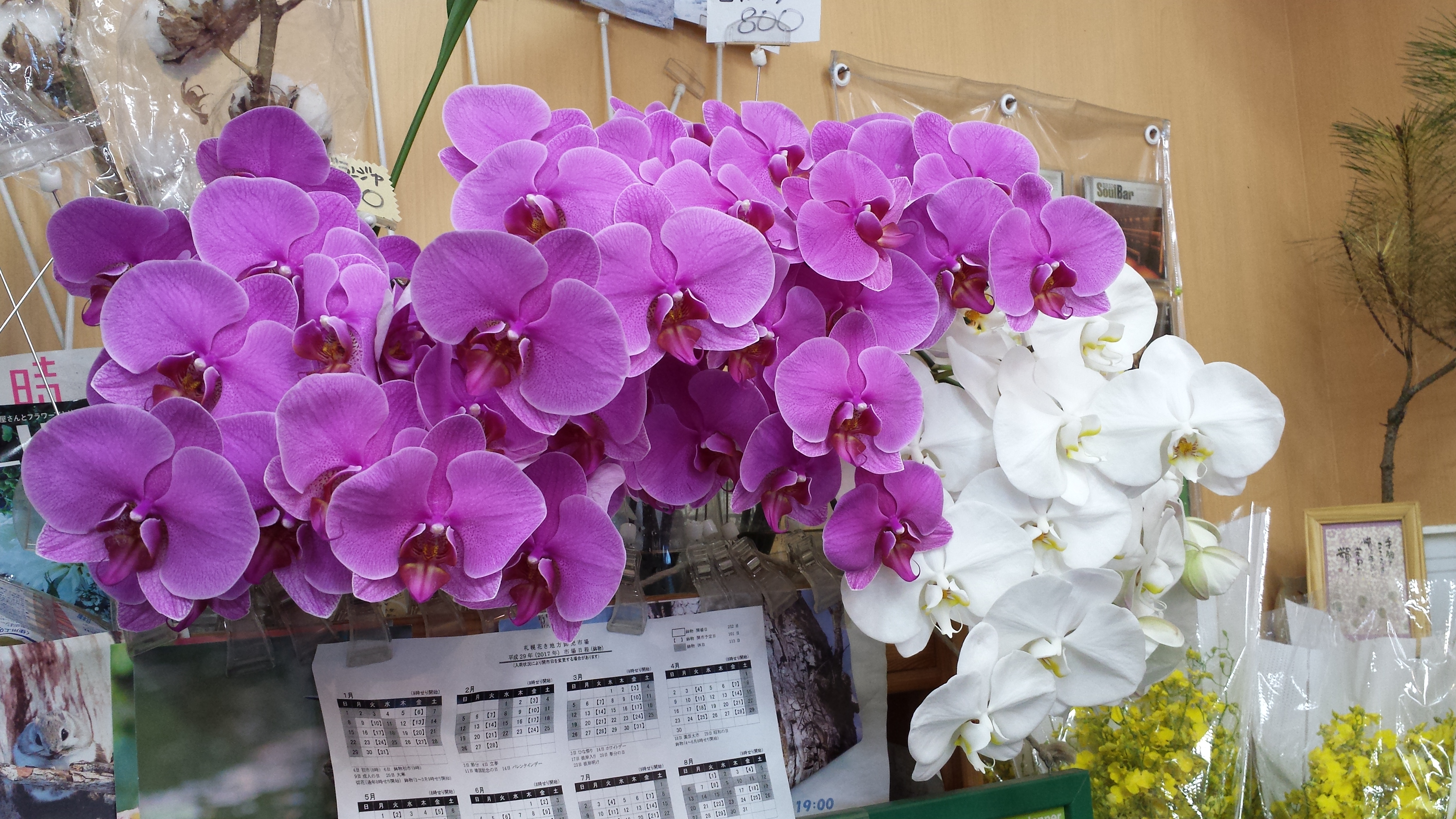 アップロードファイル 607-1.jpg