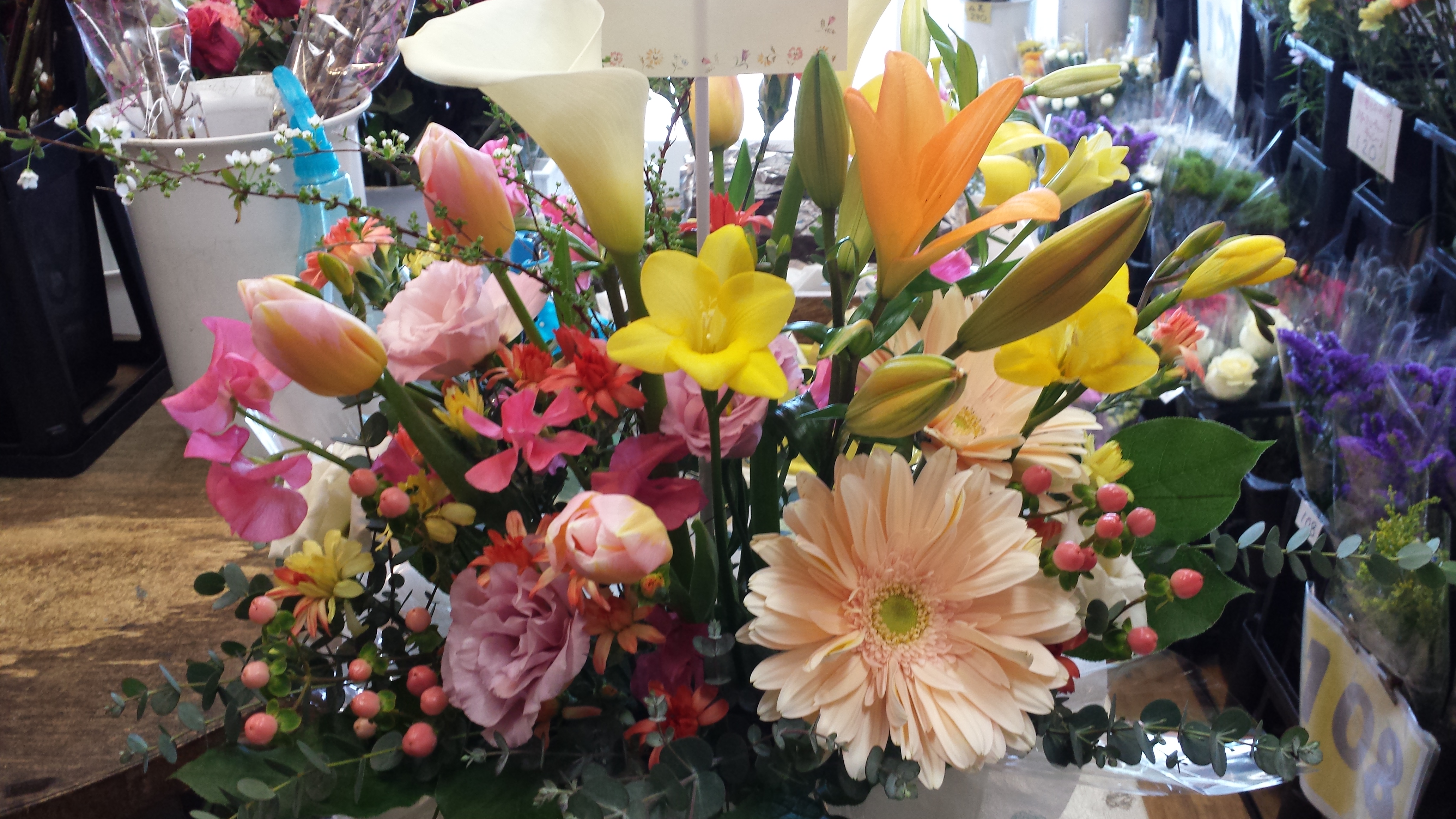 アップロードファイル 609-1.jpg