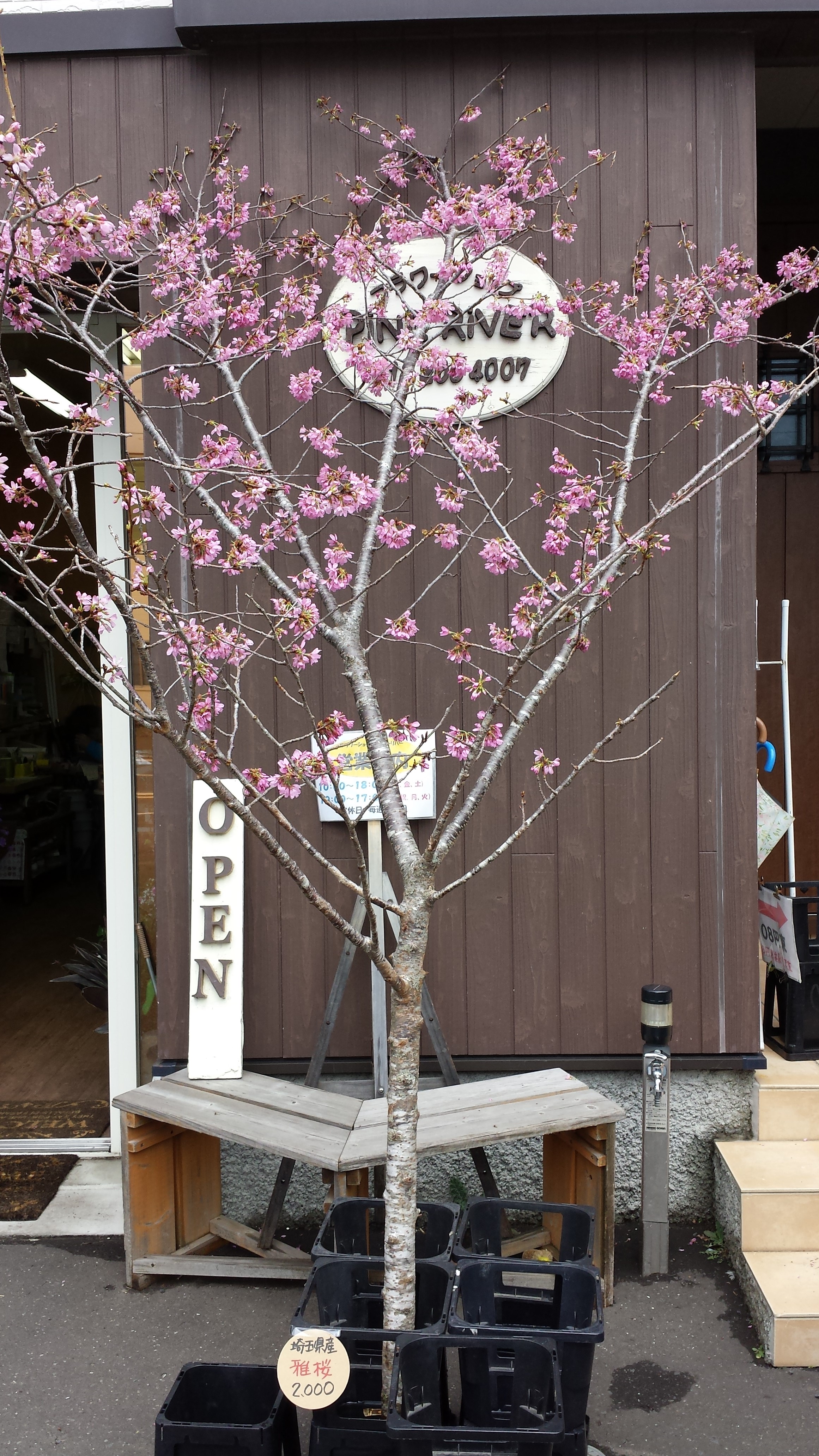 アップロードファイル 619-1.jpg