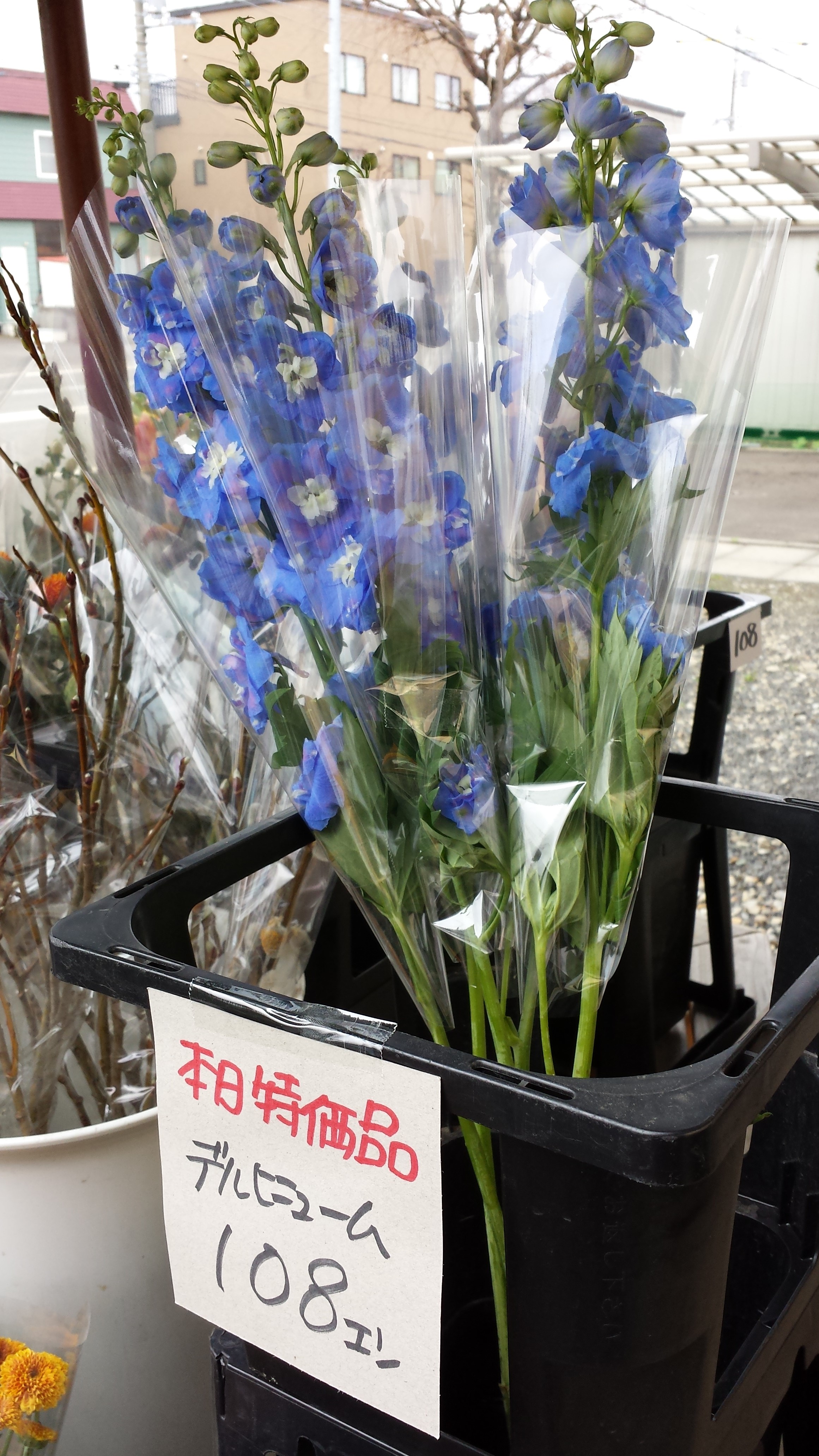 アップロードファイル 619-2.jpg