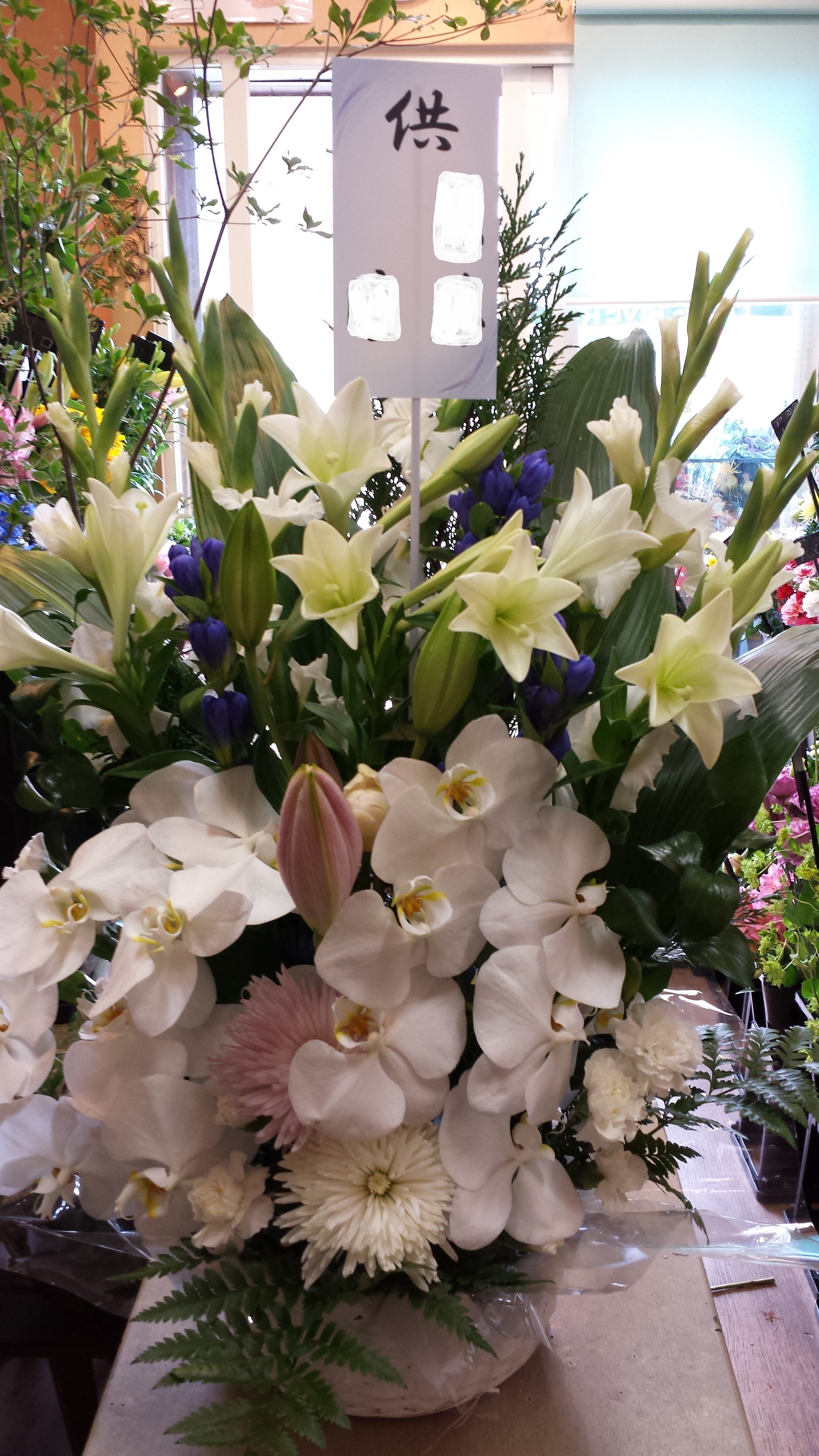 アップロードファイル 633-1.jpg