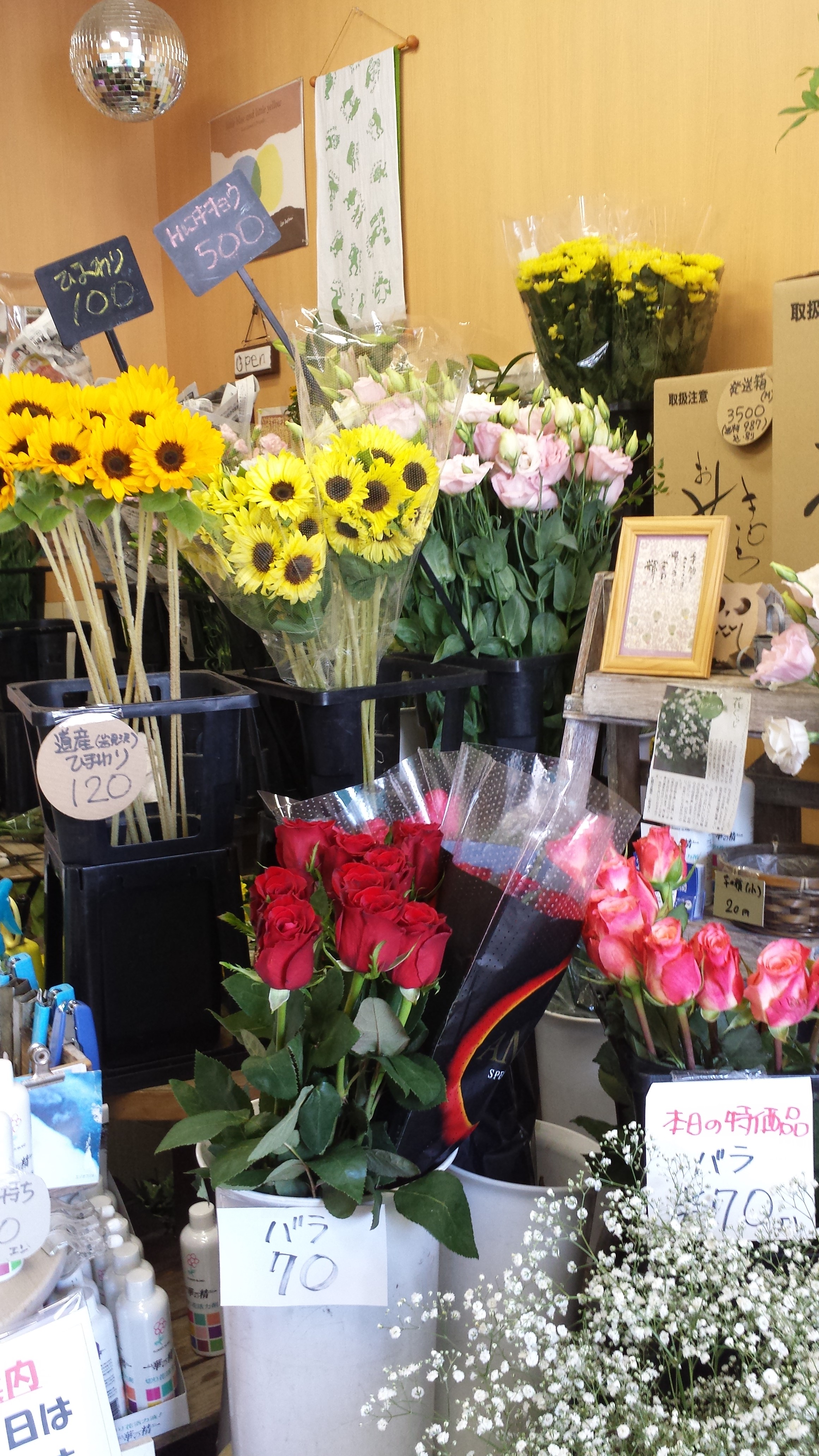 アップロードファイル 638-1.jpg