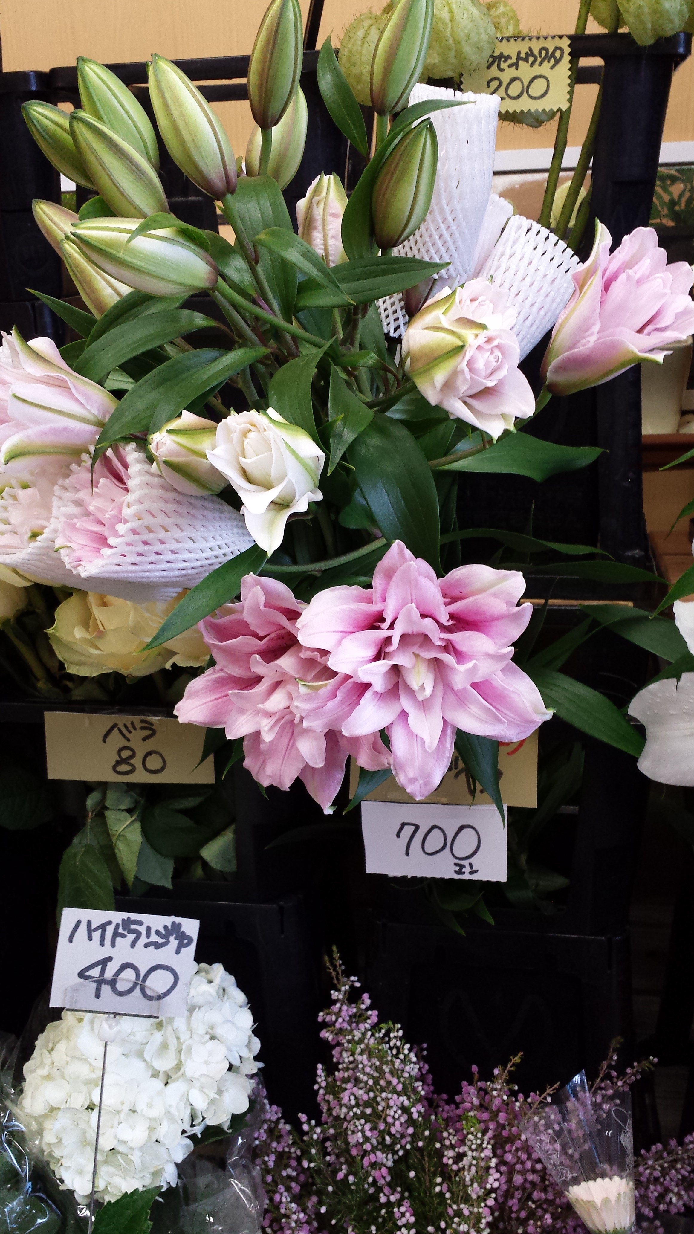 アップロードファイル 644-1.jpg