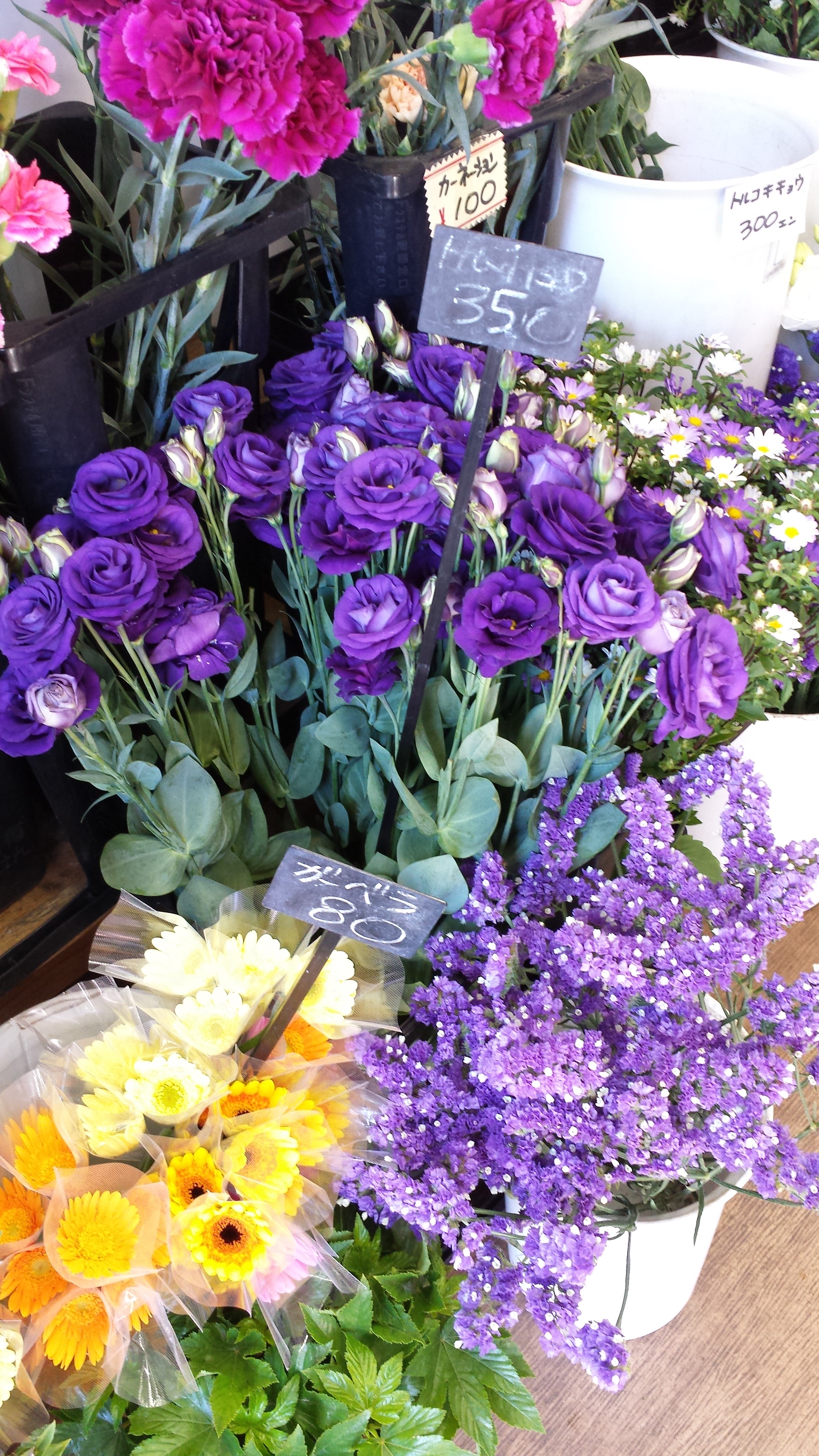 アップロードファイル 647-2.jpg