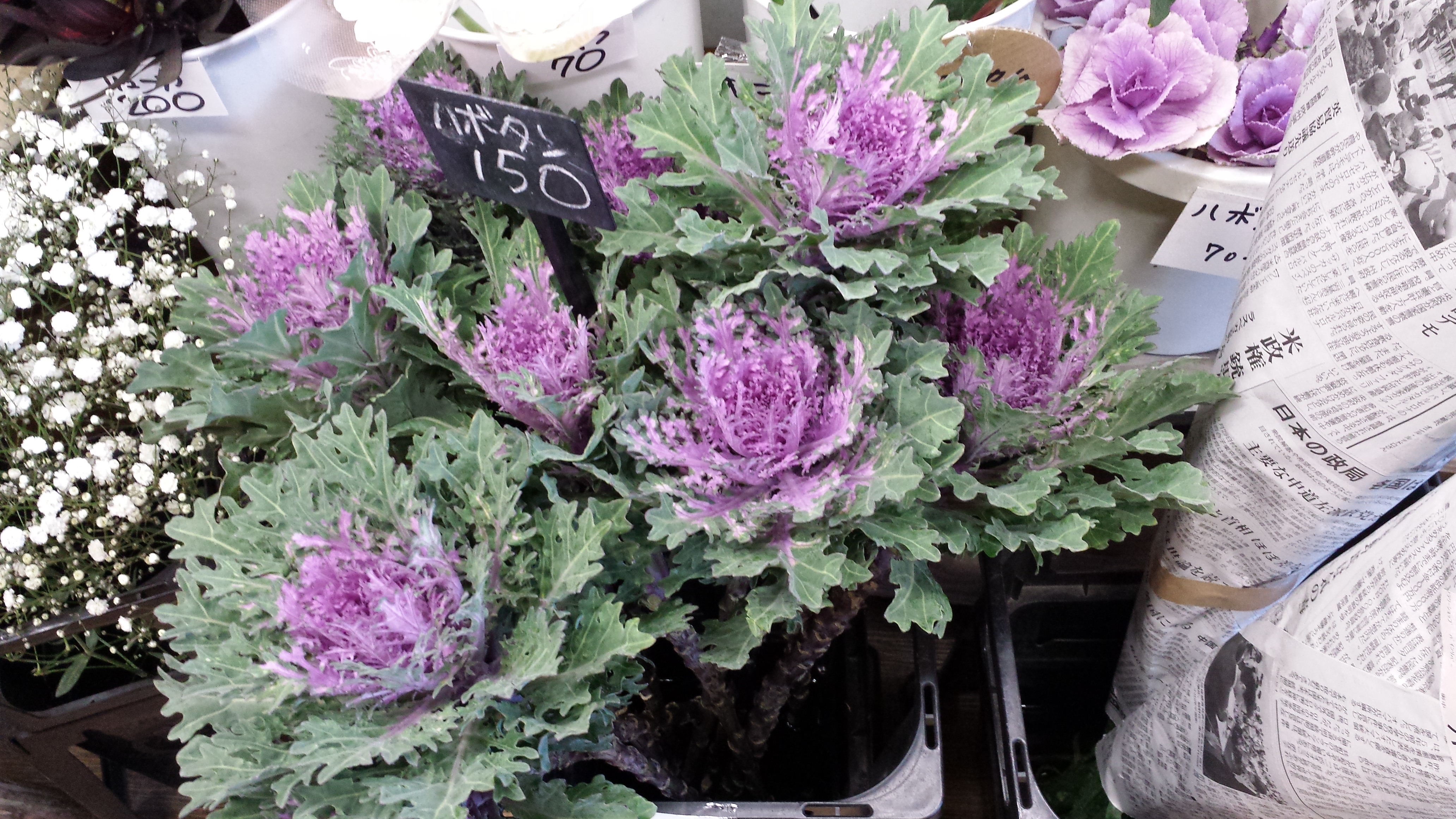 アップロードファイル 651-1.jpg