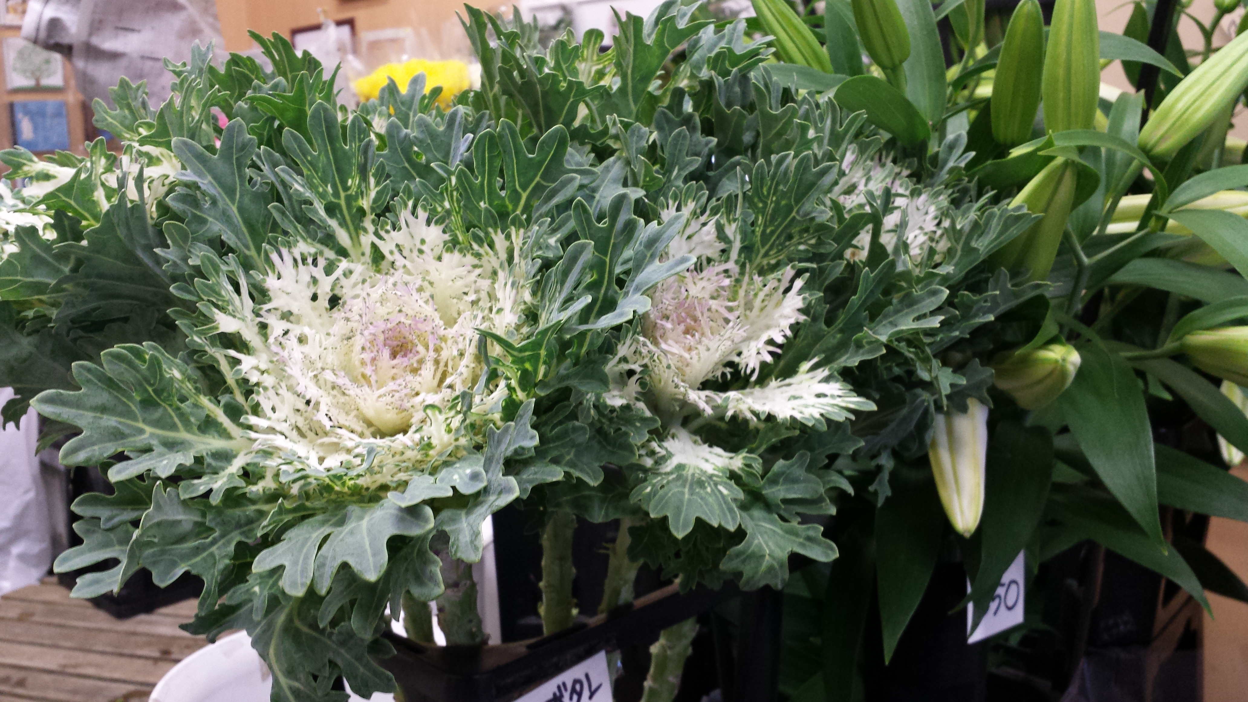 アップロードファイル 651-2.jpg