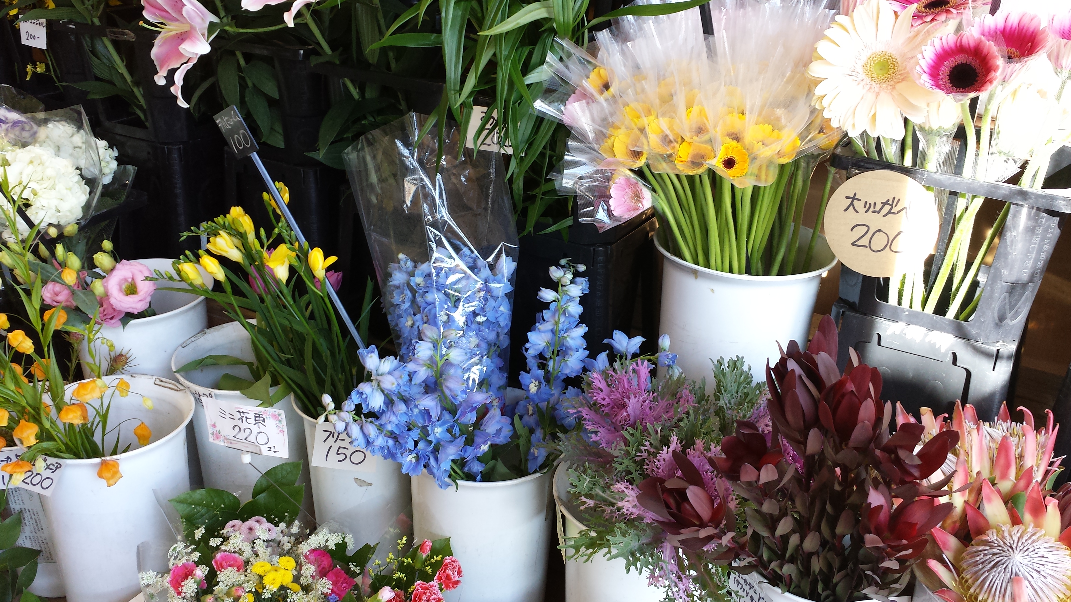 アップロードファイル 655-1.jpg