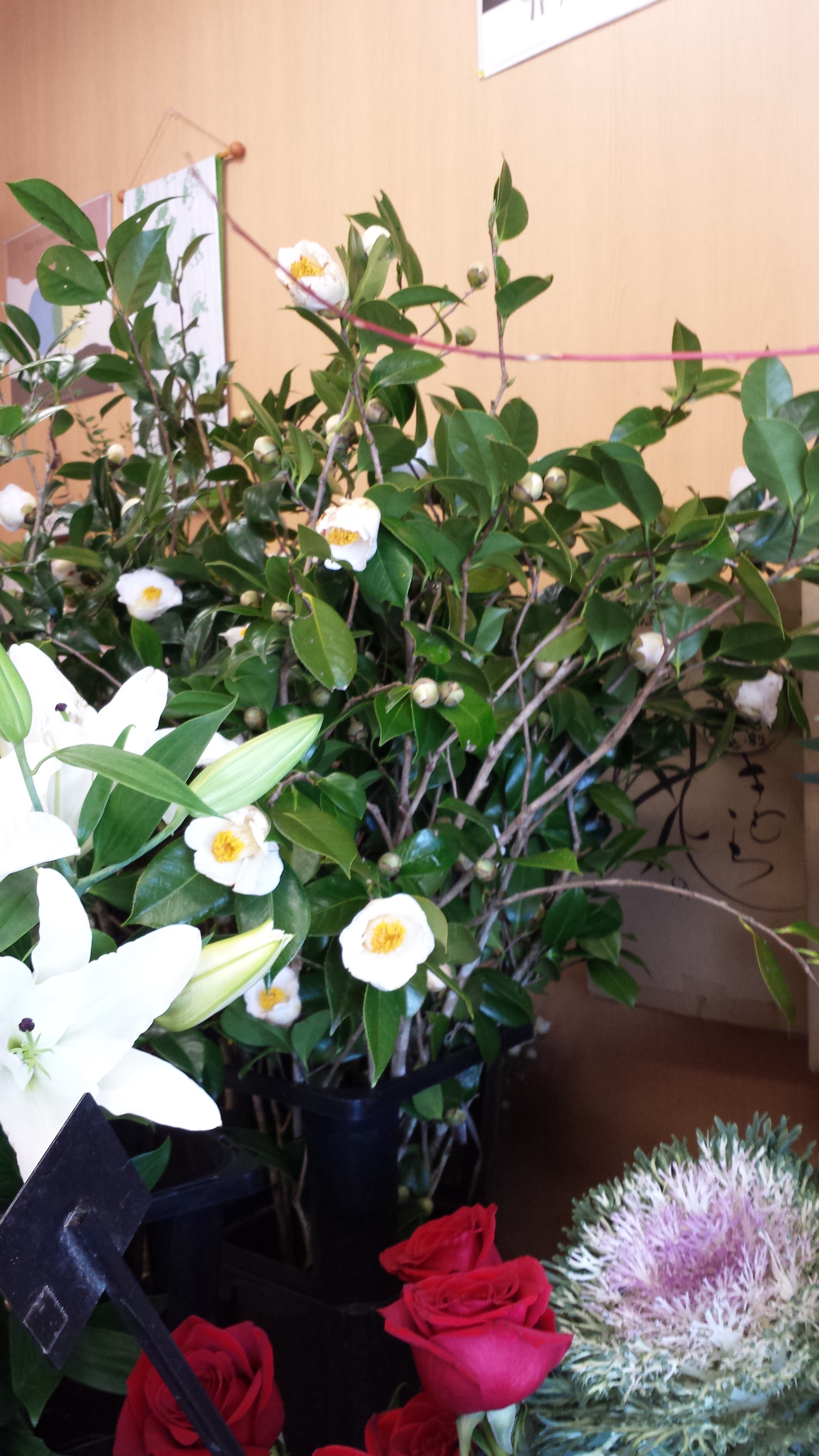 アップロードファイル 655-2.jpg