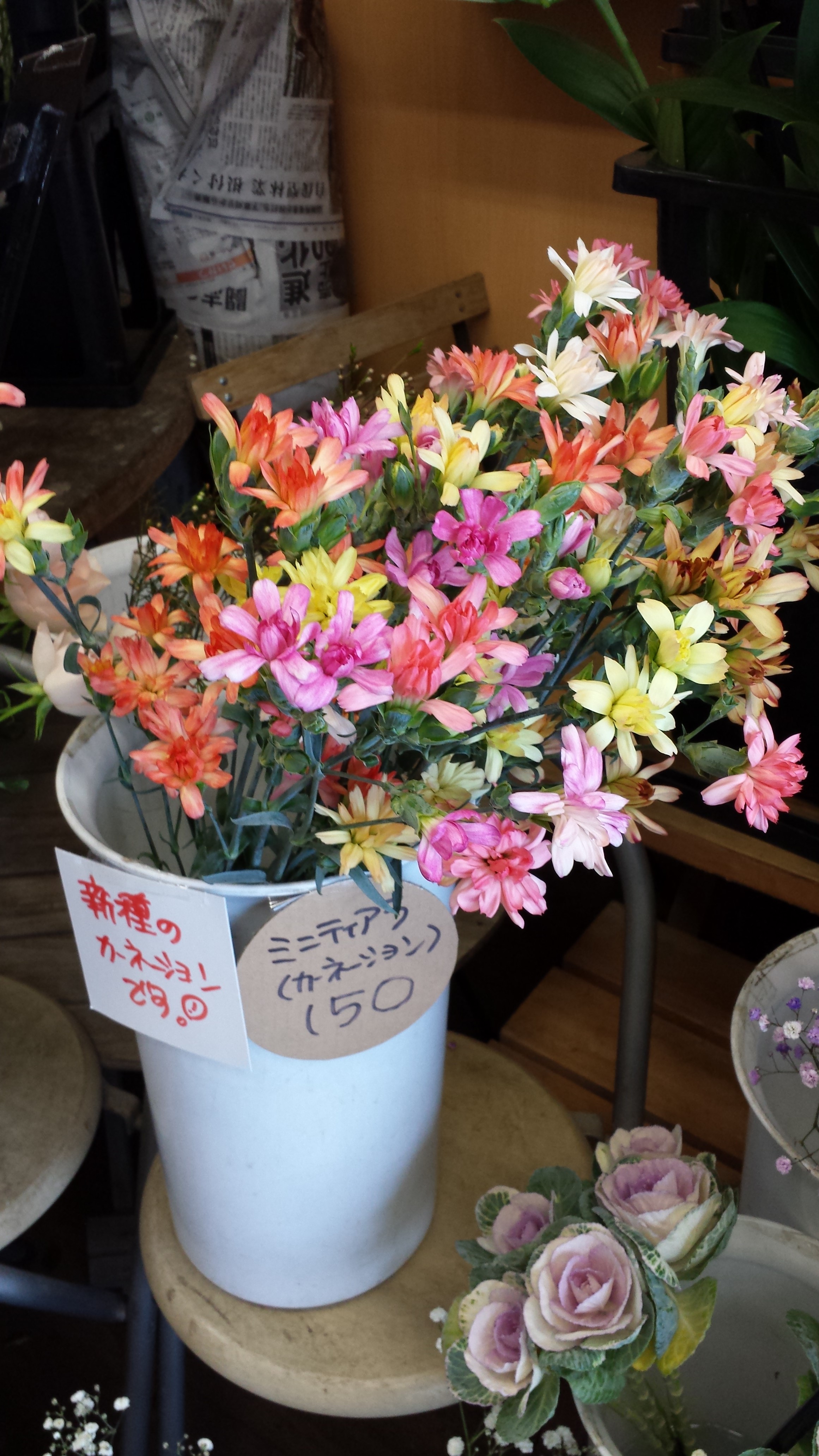 アップロードファイル 659-1.jpg