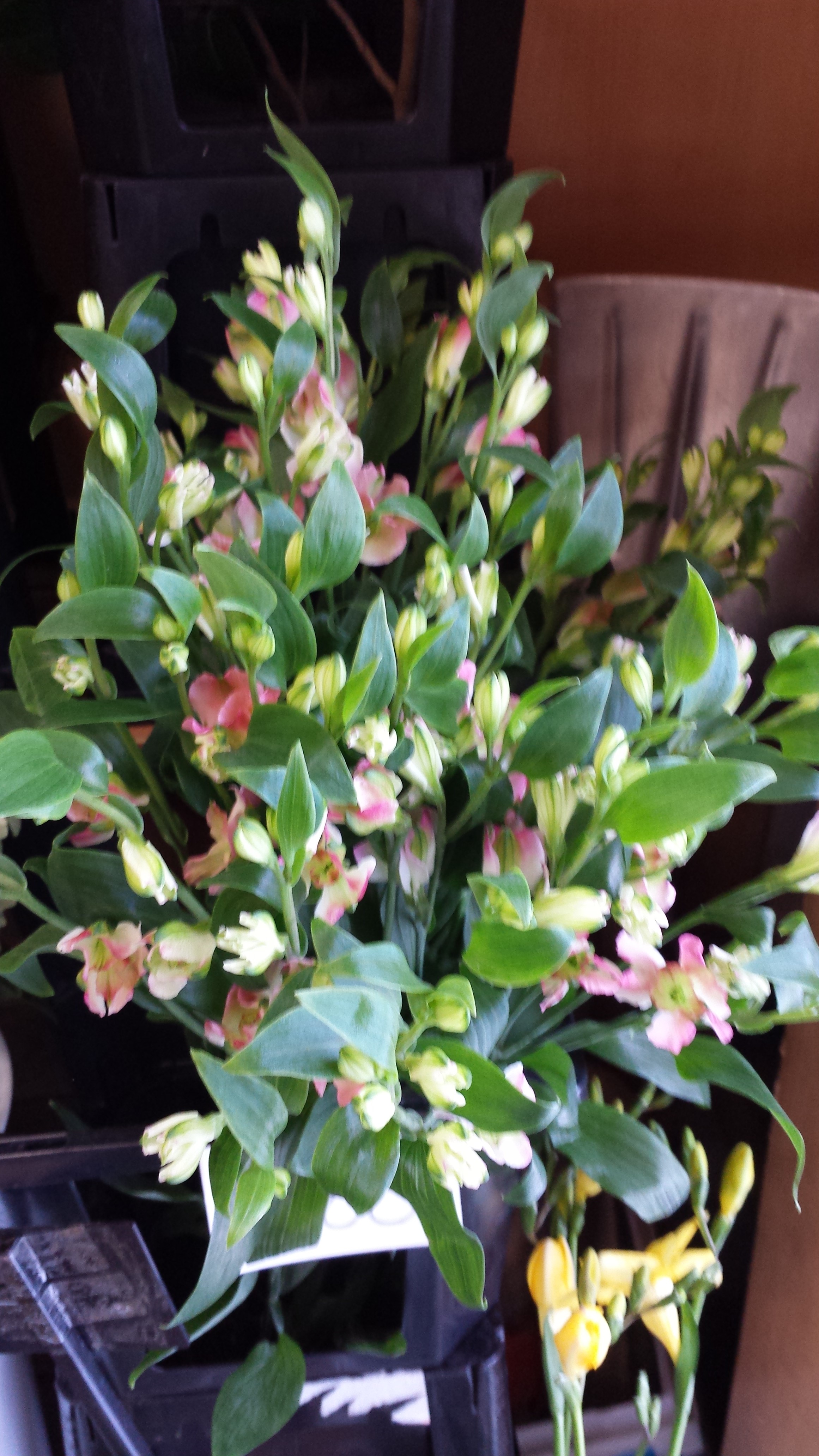 アップロードファイル 659-2.jpg