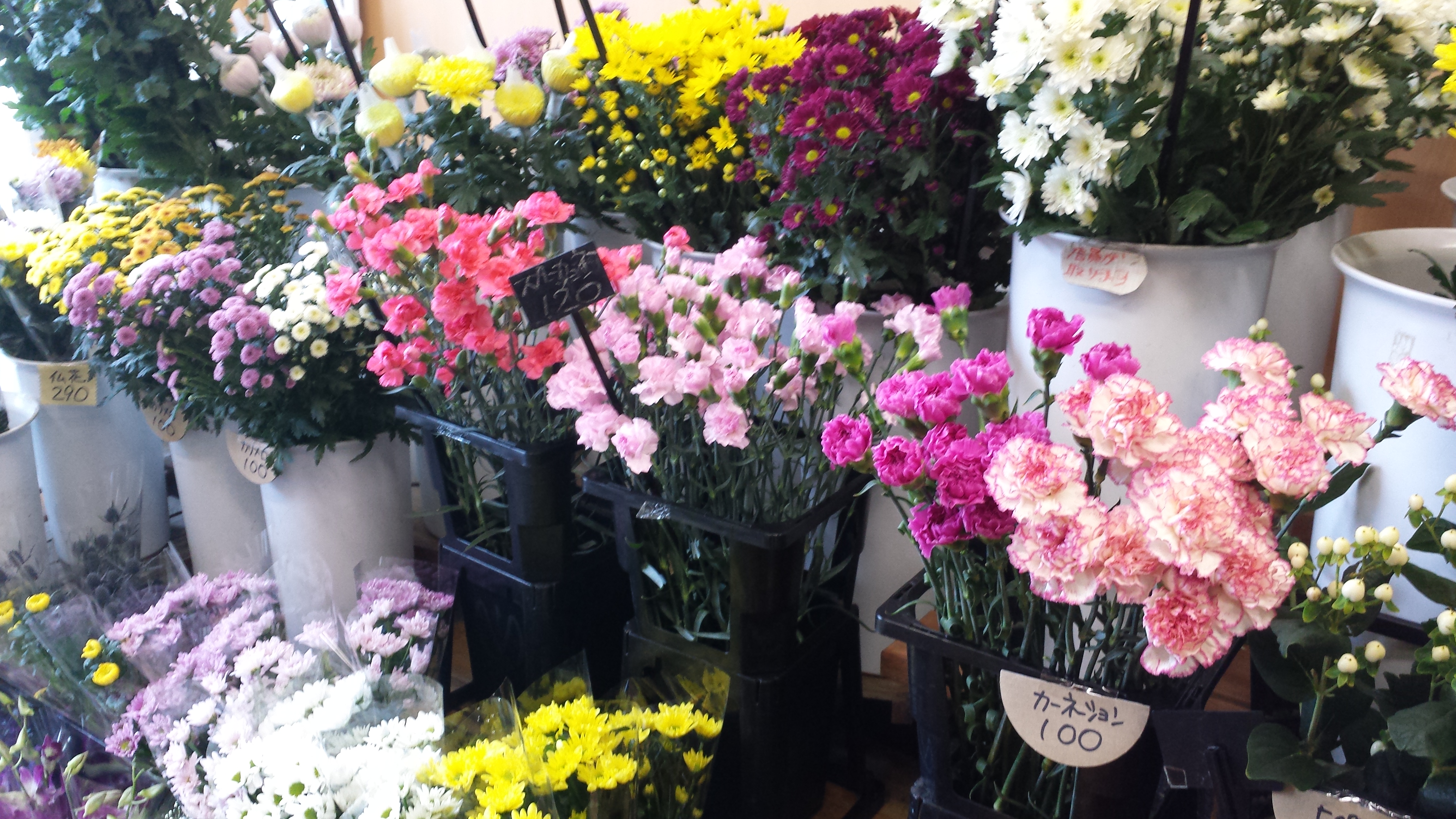 アップロードファイル 660-1.jpg