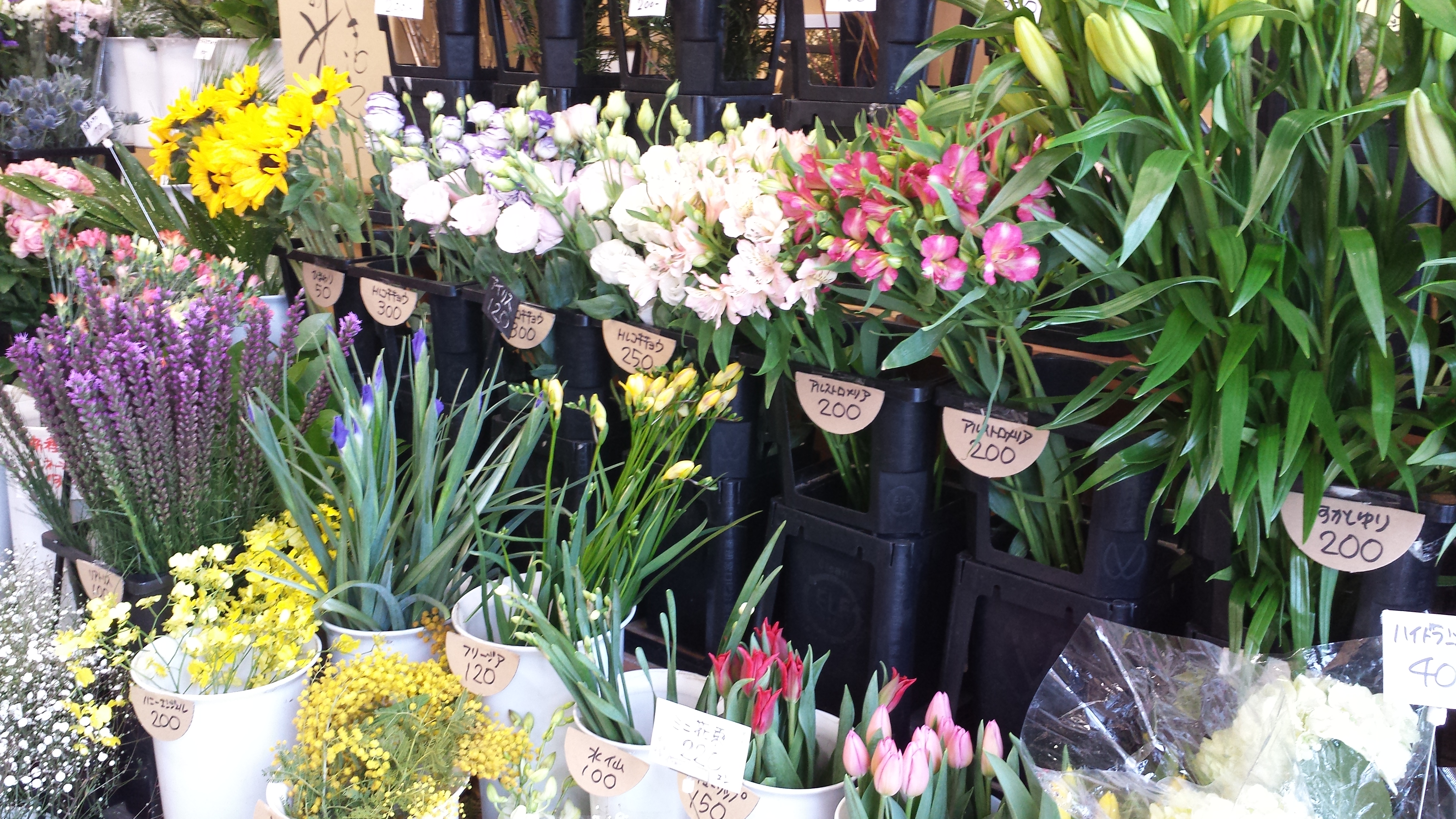 アップロードファイル 660-2.jpg