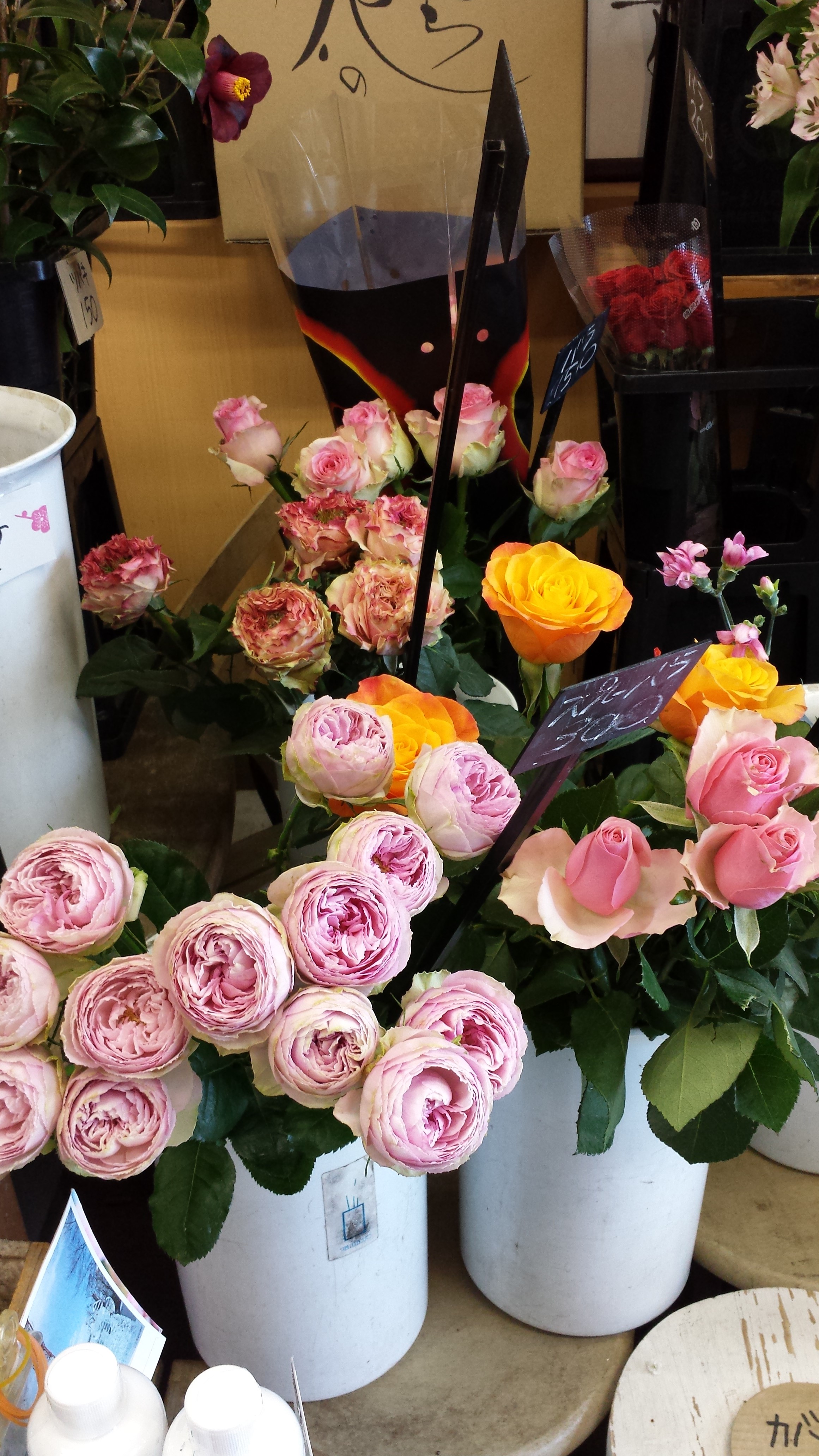 アップロードファイル 664-1.jpg