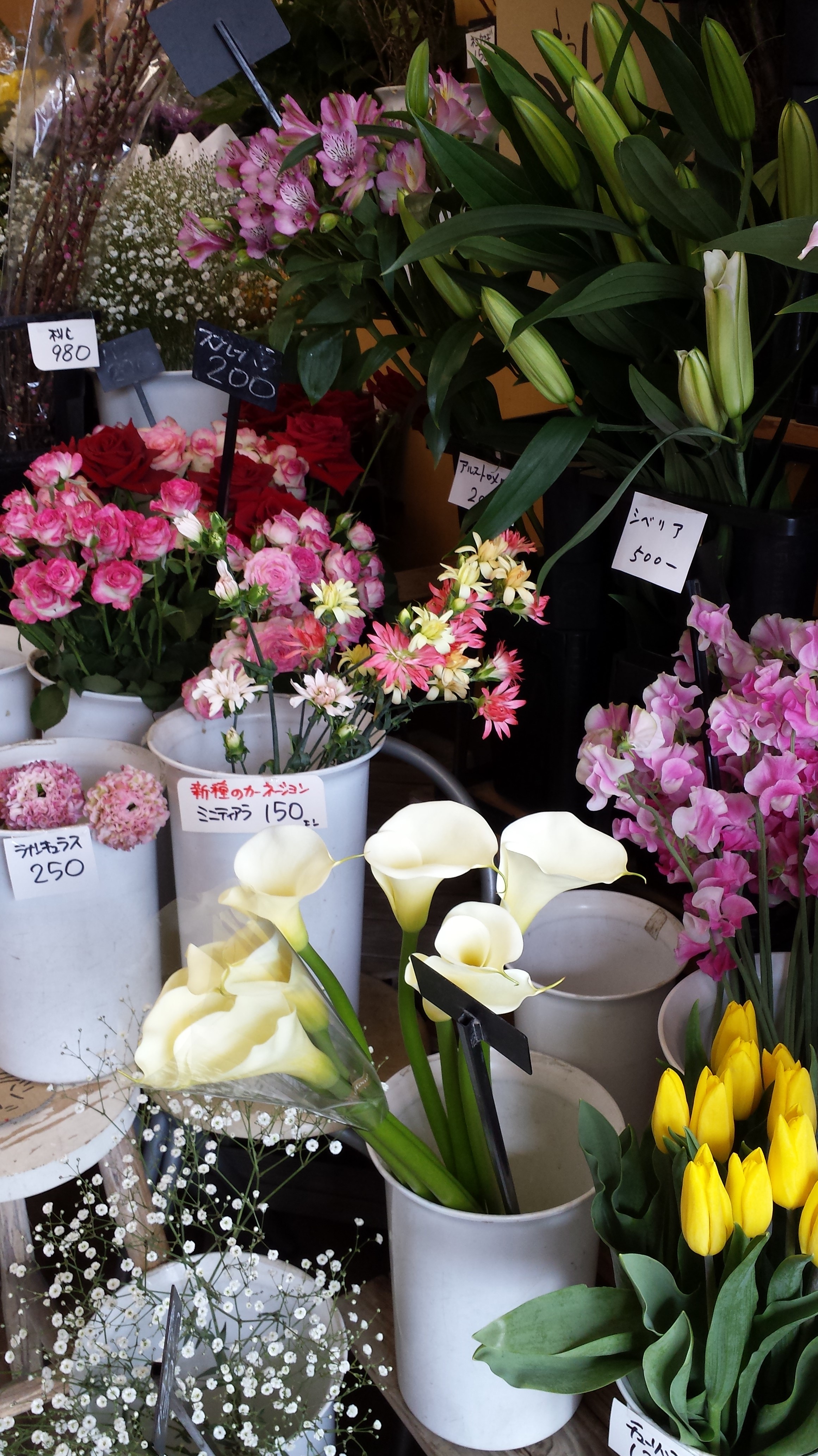 アップロードファイル 666-1.jpg