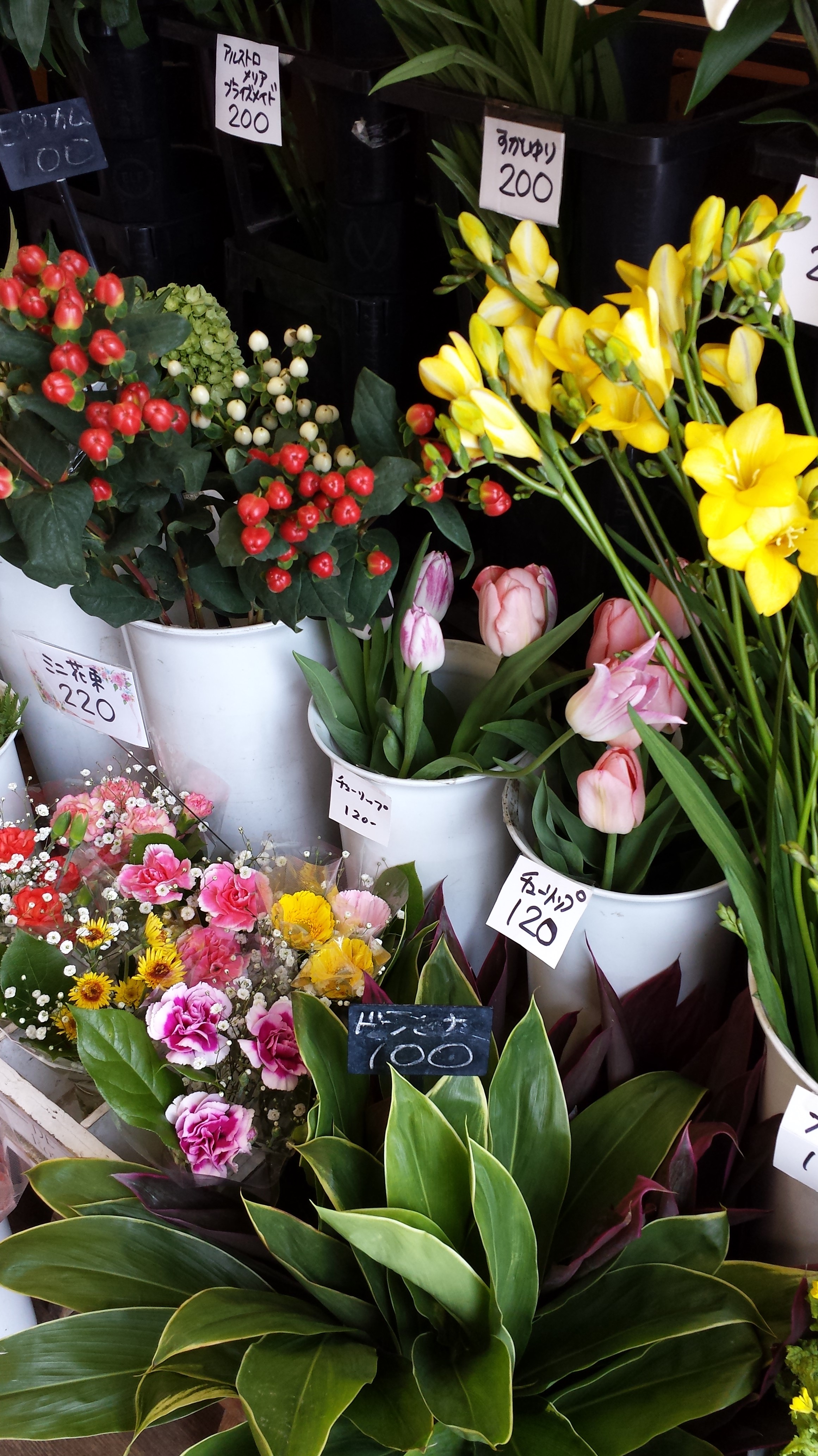 アップロードファイル 666-2.jpg