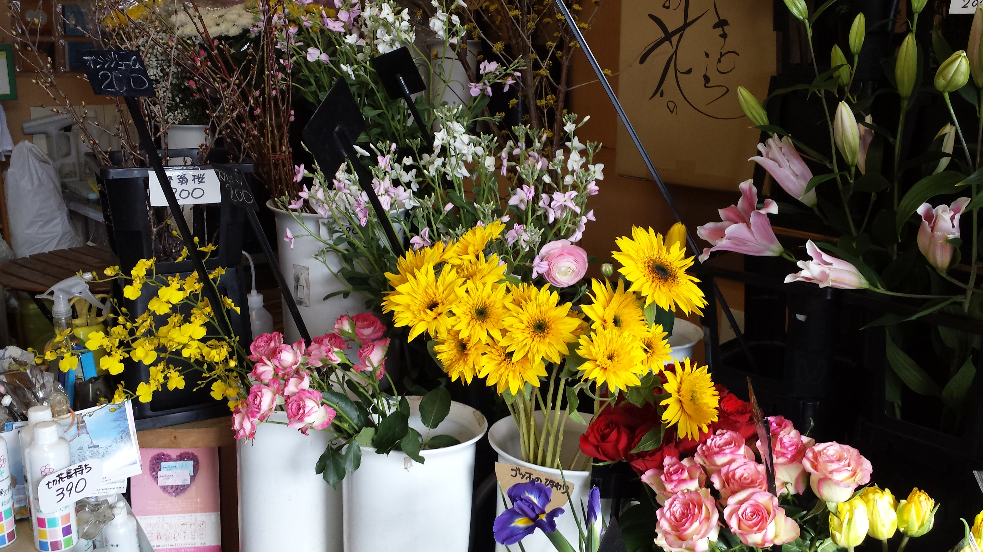 アップロードファイル 667-1.jpg