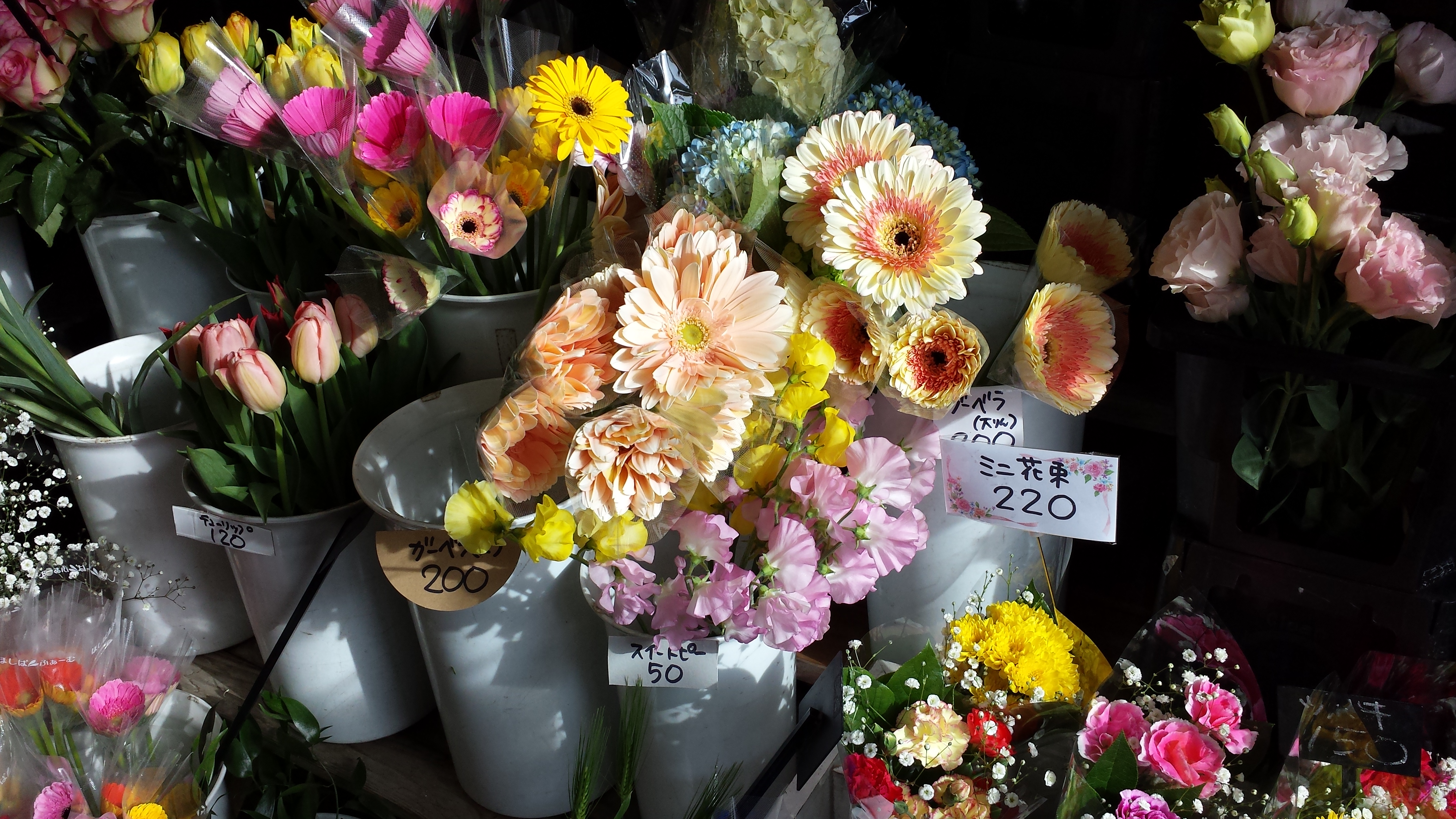 アップロードファイル 667-2.jpg