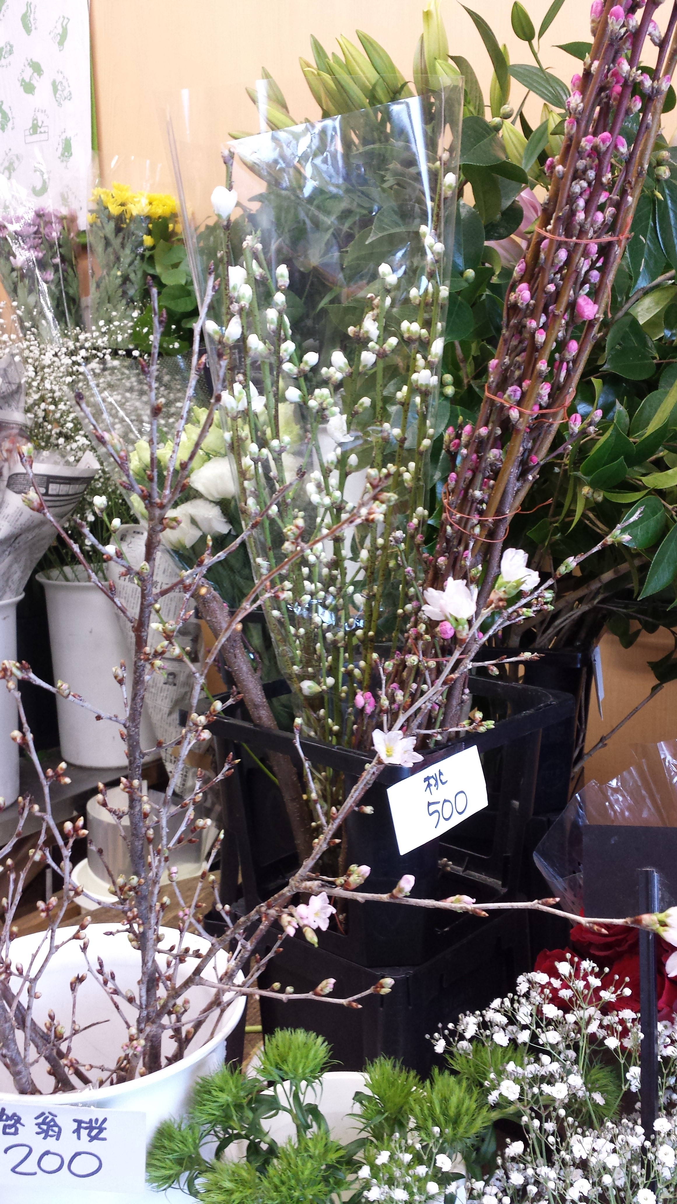 アップロードファイル 668-1.jpg