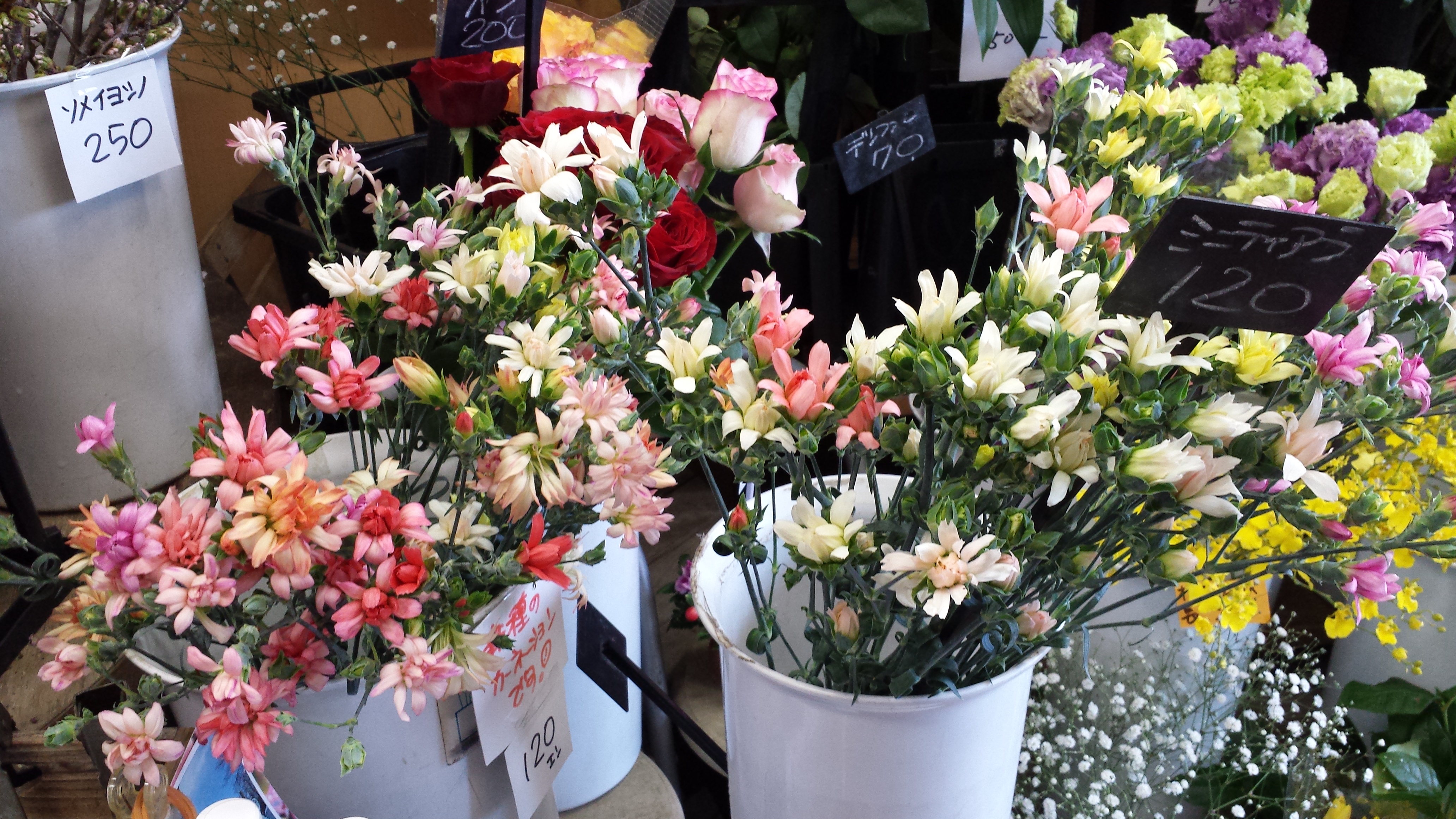 アップロードファイル 670-1.jpg