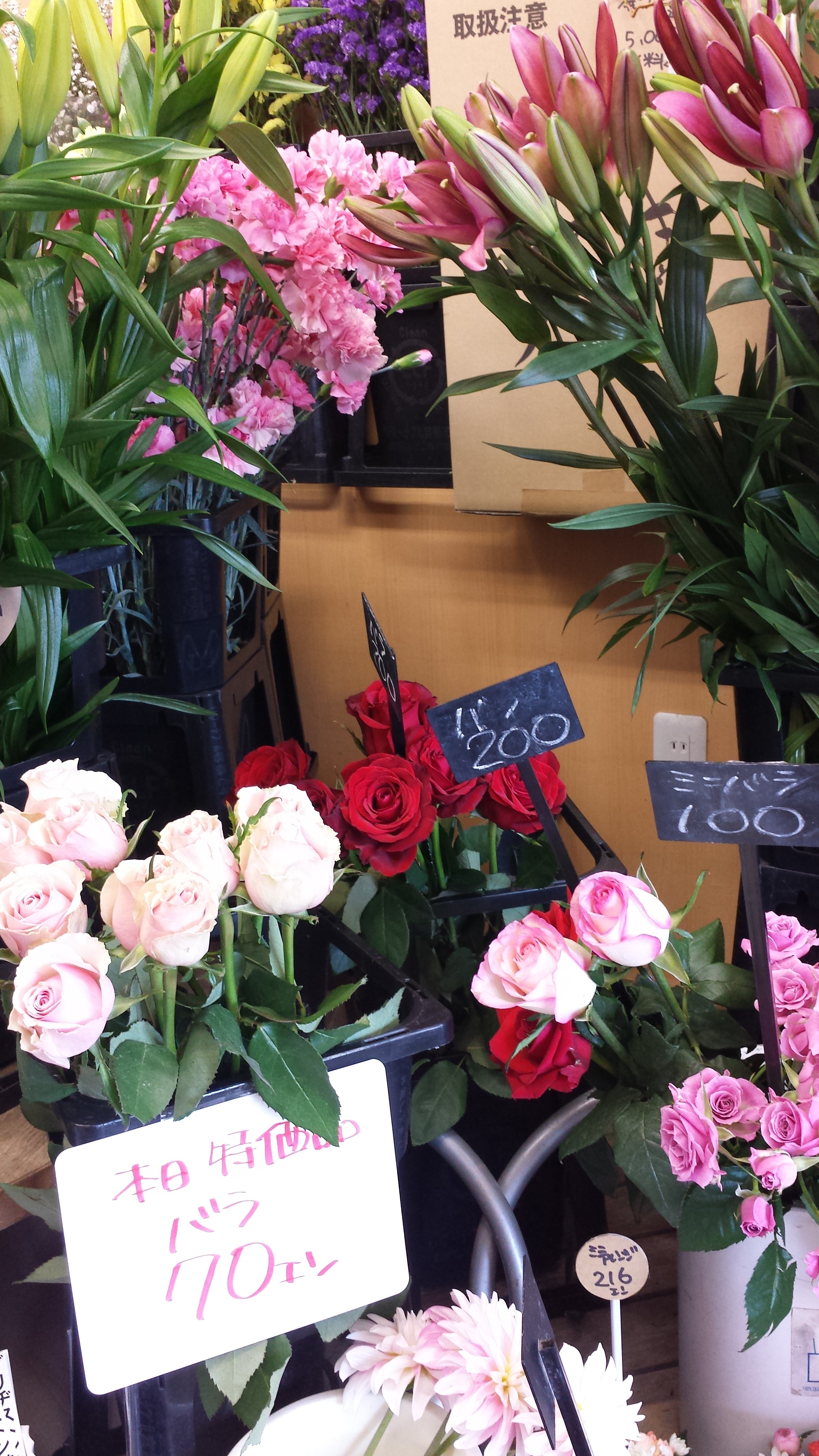 アップロードファイル 673-1.jpg