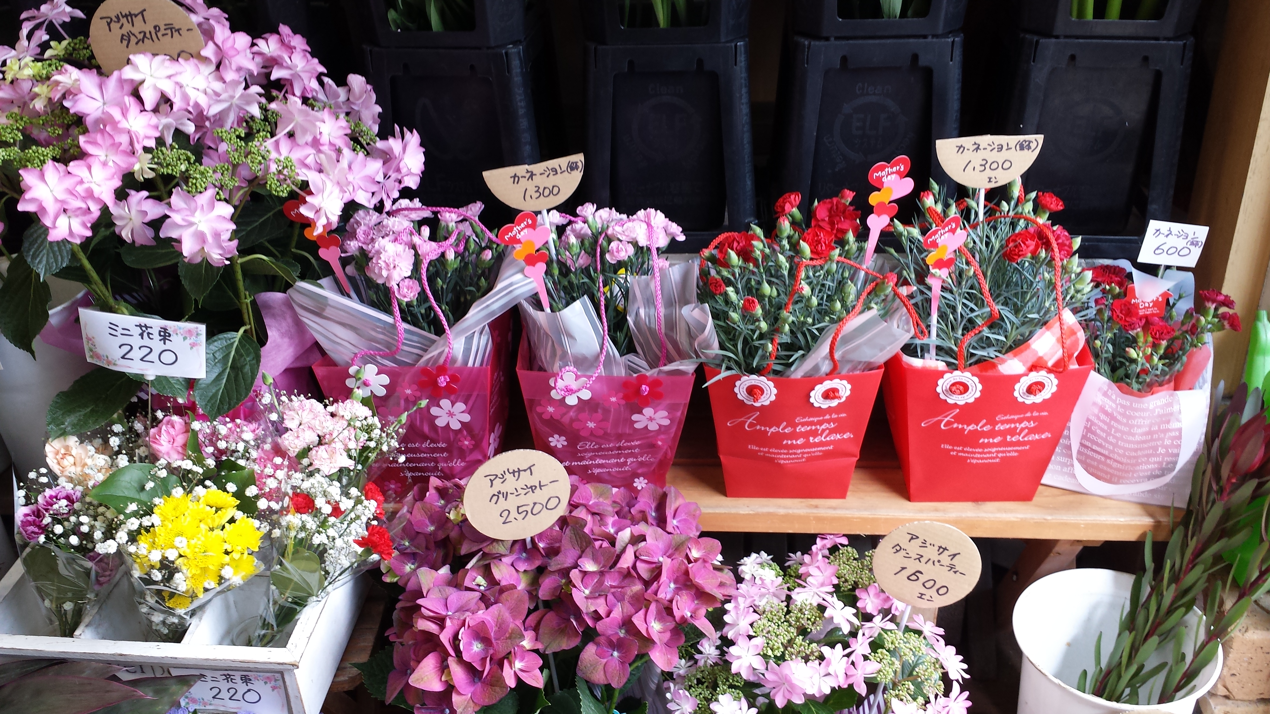 アップロードファイル 677-1.jpg