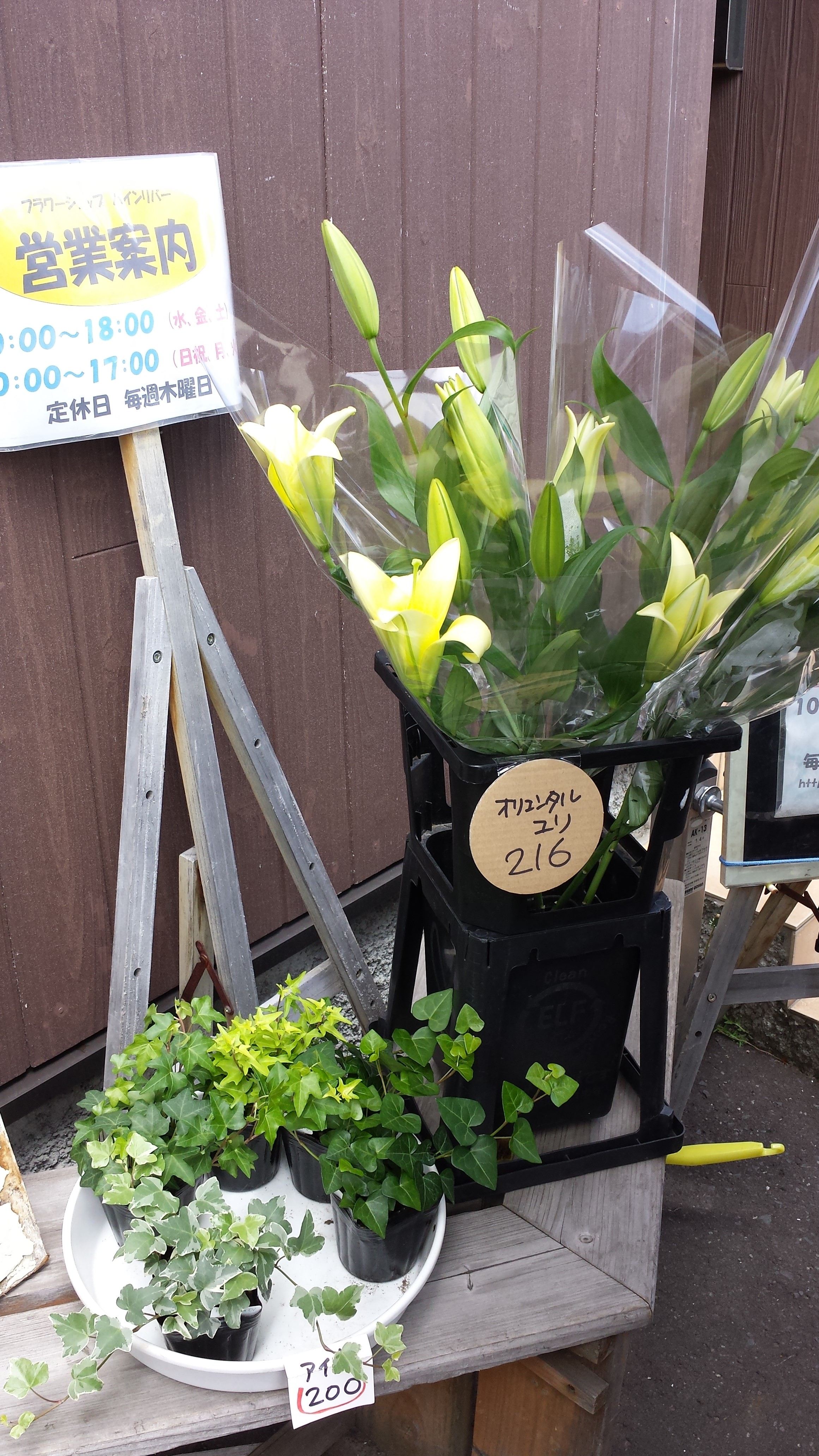 アップロードファイル 679-1.jpg